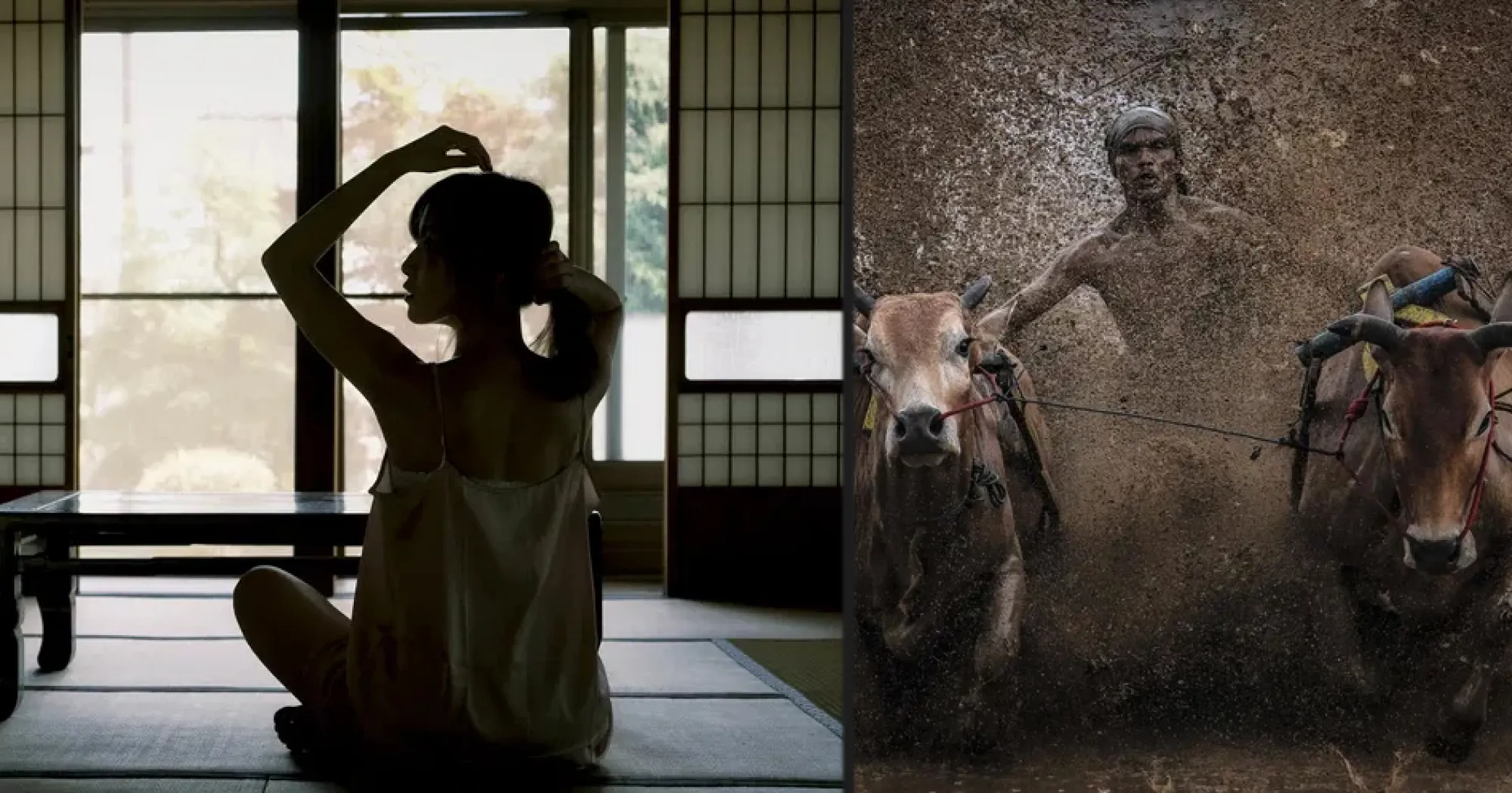 Стандартний об'єктив Fujifilm XF 23mm f/2.0 R WR (16523171) (Standard)