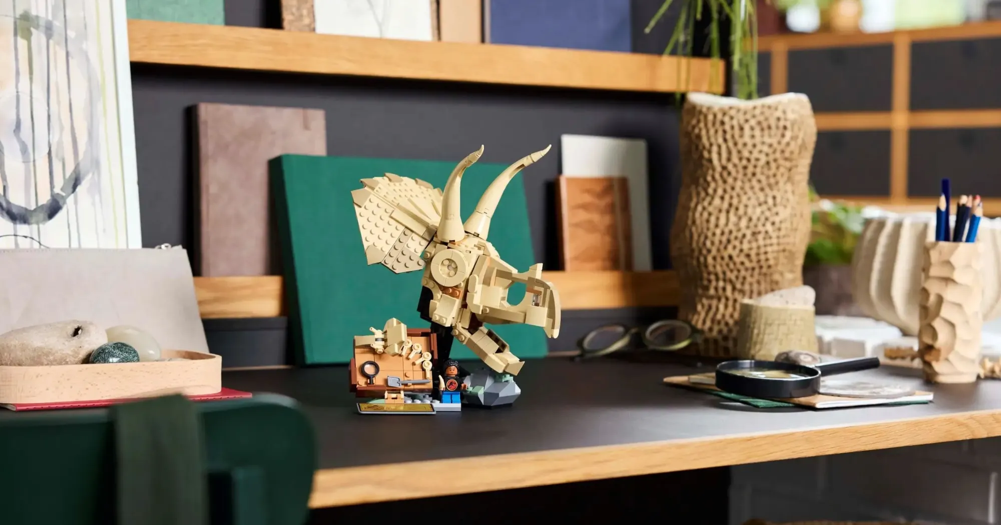 Конструктор LEGO Jurassic World Окаменелости динозавров: череп трицератопса (76969)