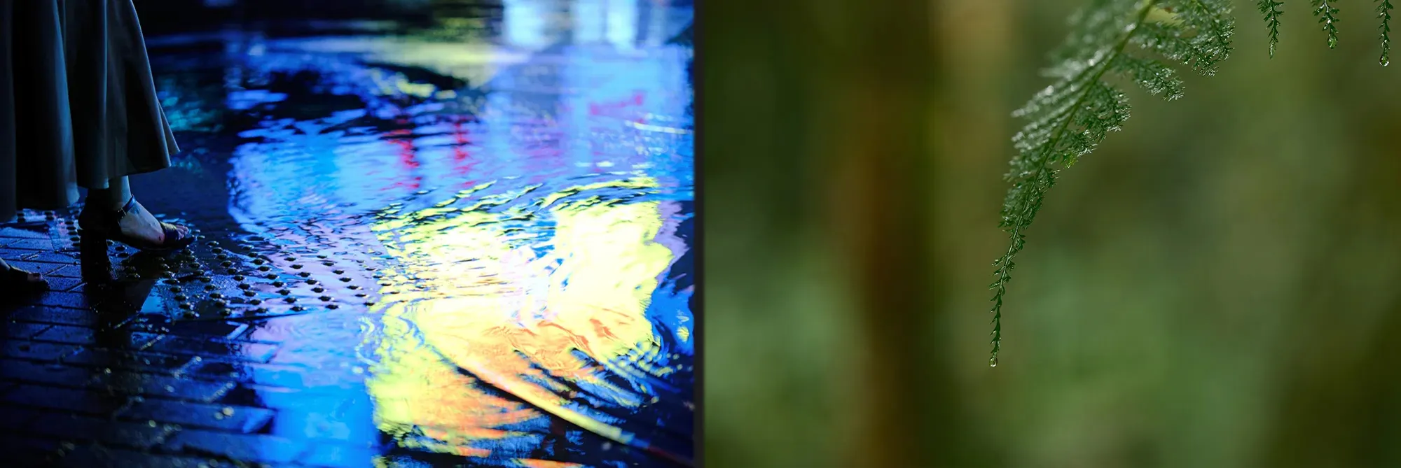 Стандартний об'єктив Fujifilm XF 56mm f/1.2 R WR (16780028) (Standard)