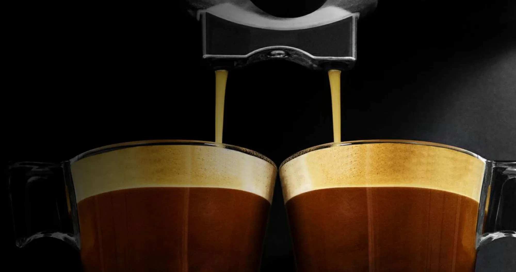 Ріжкова кавоварка Cecotec Cumbia Power Espresso 20 Professional (Silver) (CCTC-01556)