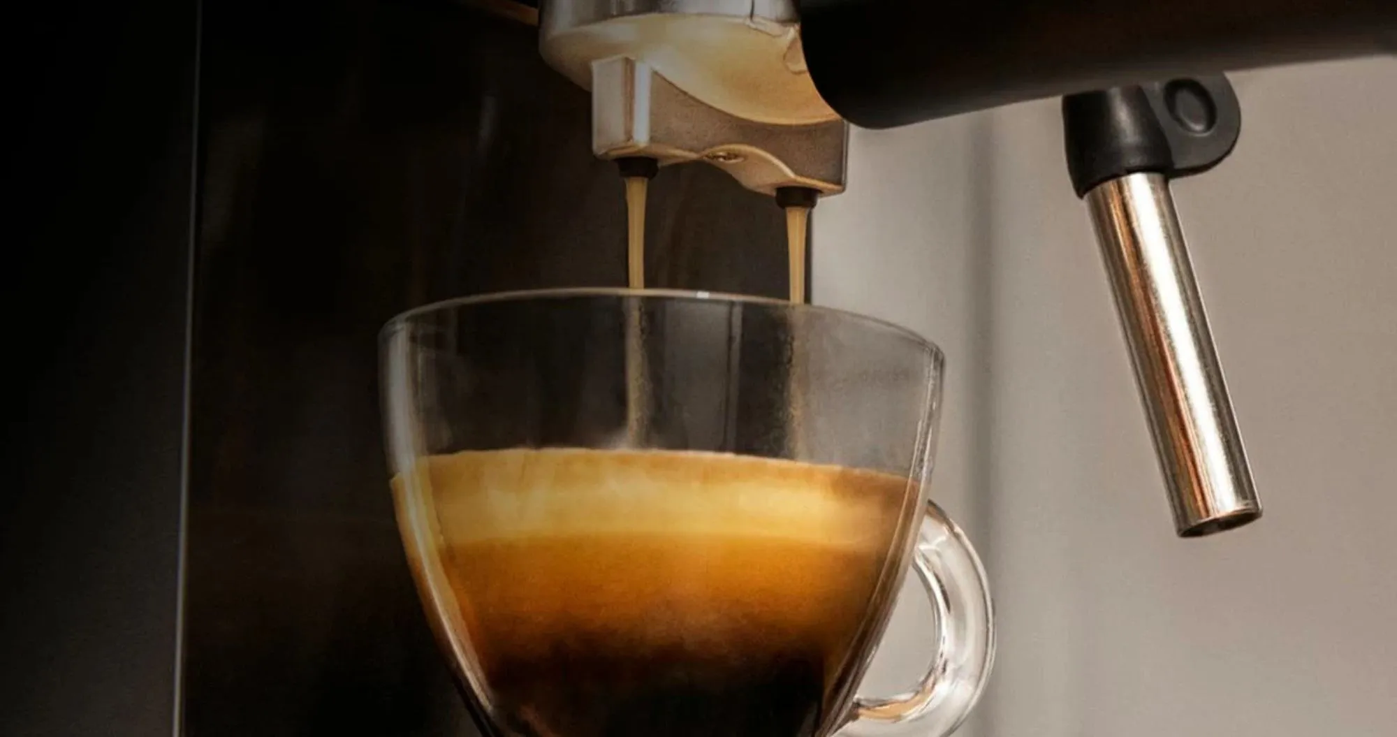 Ріжкова кавоварка Cecotec Cafelizzia 790 Steel (Silver) (CCTC-01582)