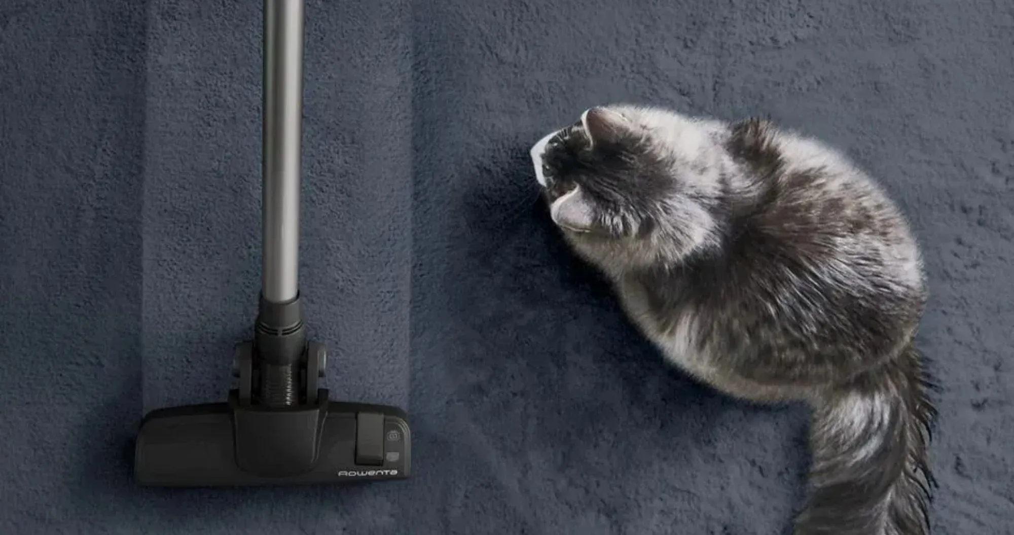 Пылесос безмешковый Rowenta Green Force Cyclonic RO7C66EA (Black) (UA)