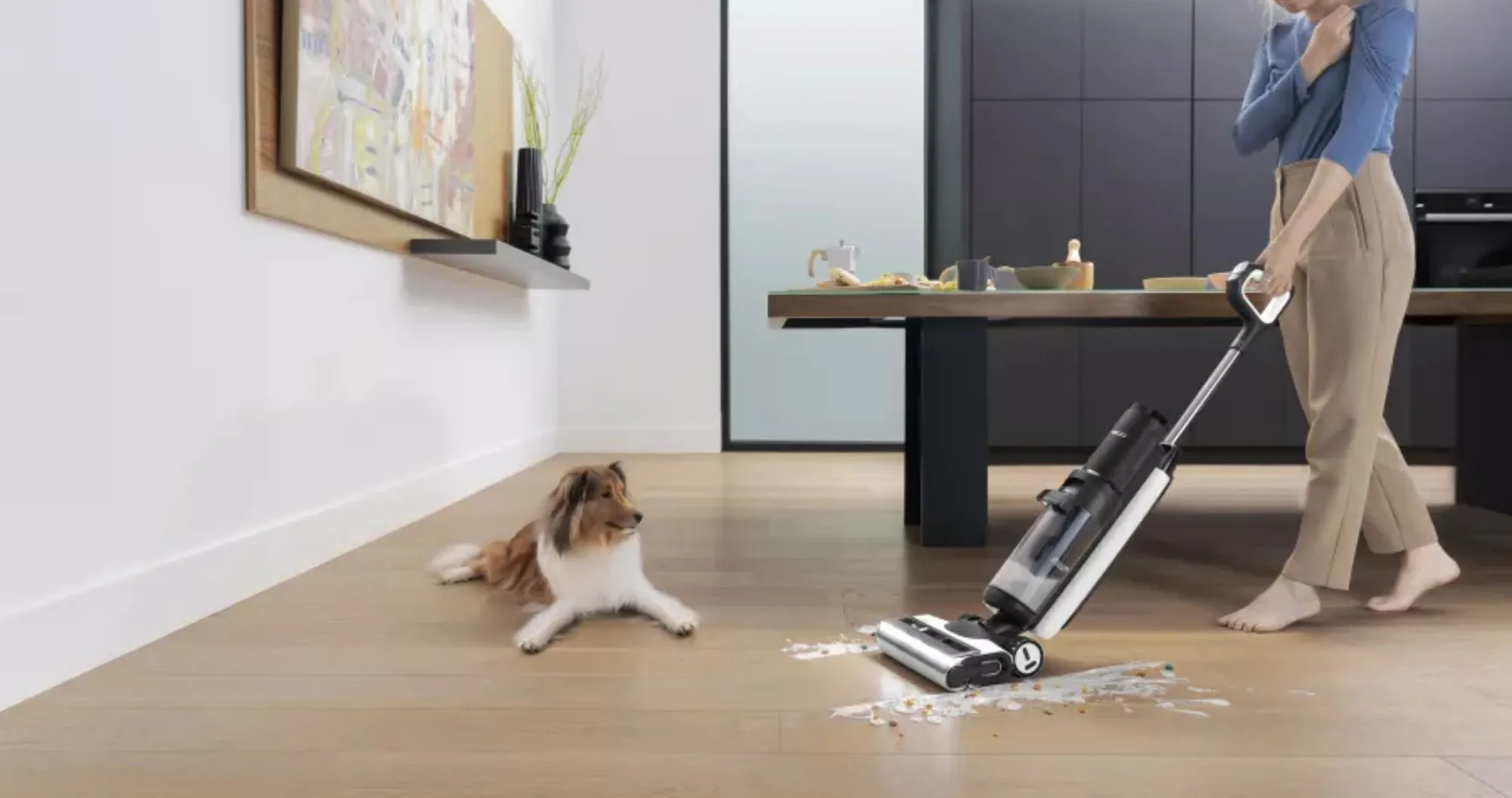 Пылесос Tineco Floor One Switch S7 Pet (UA)