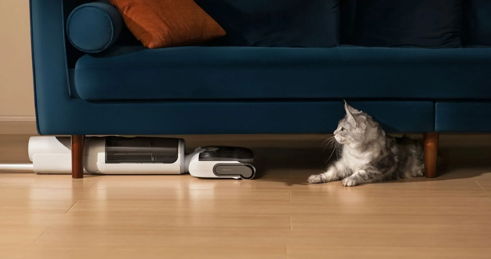 Акумуляторний пилосос Roborock F25 RT (WD5M7B022-00) (Standard)