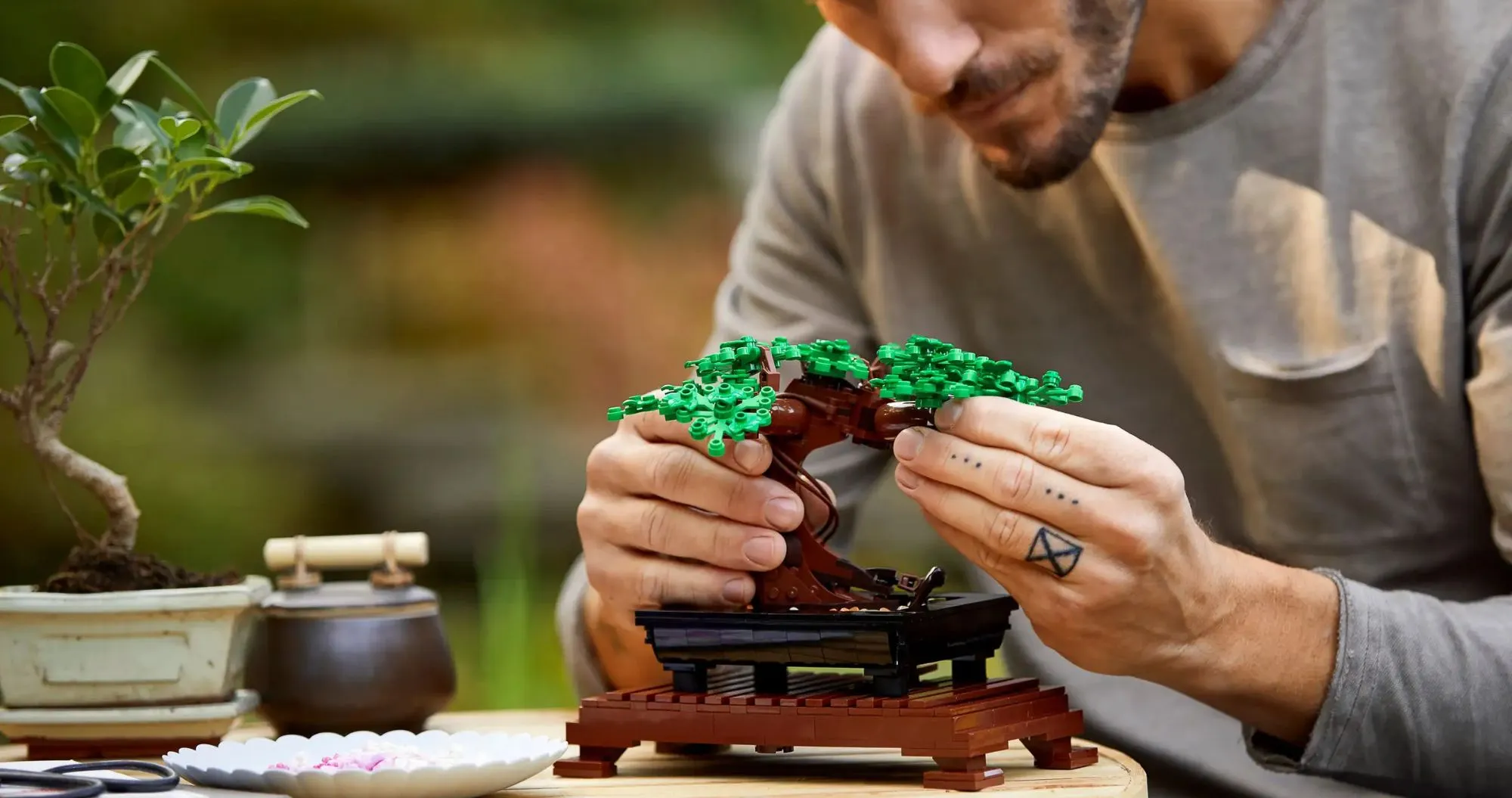 Конструктор LEGO Botanicals Дерево Бонсай (10281)