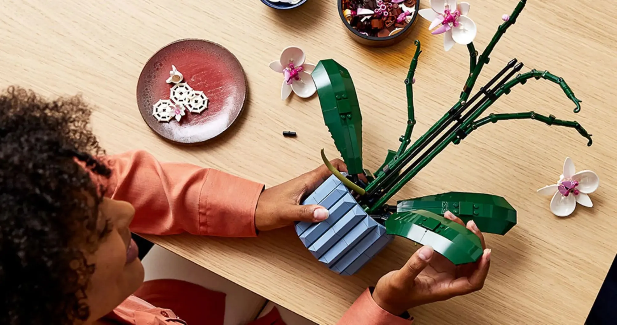 Конструктор LEGO Botanicals Orchid (10311)