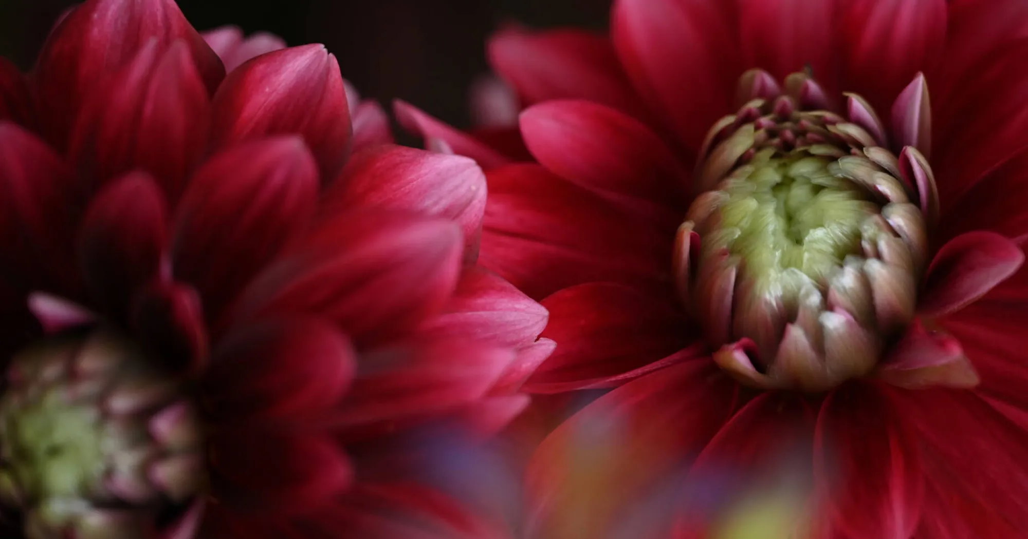 Универсальный объектив Nikon Nikkor Z 24-120mm f/4 S (JMA714DA) (Standard)