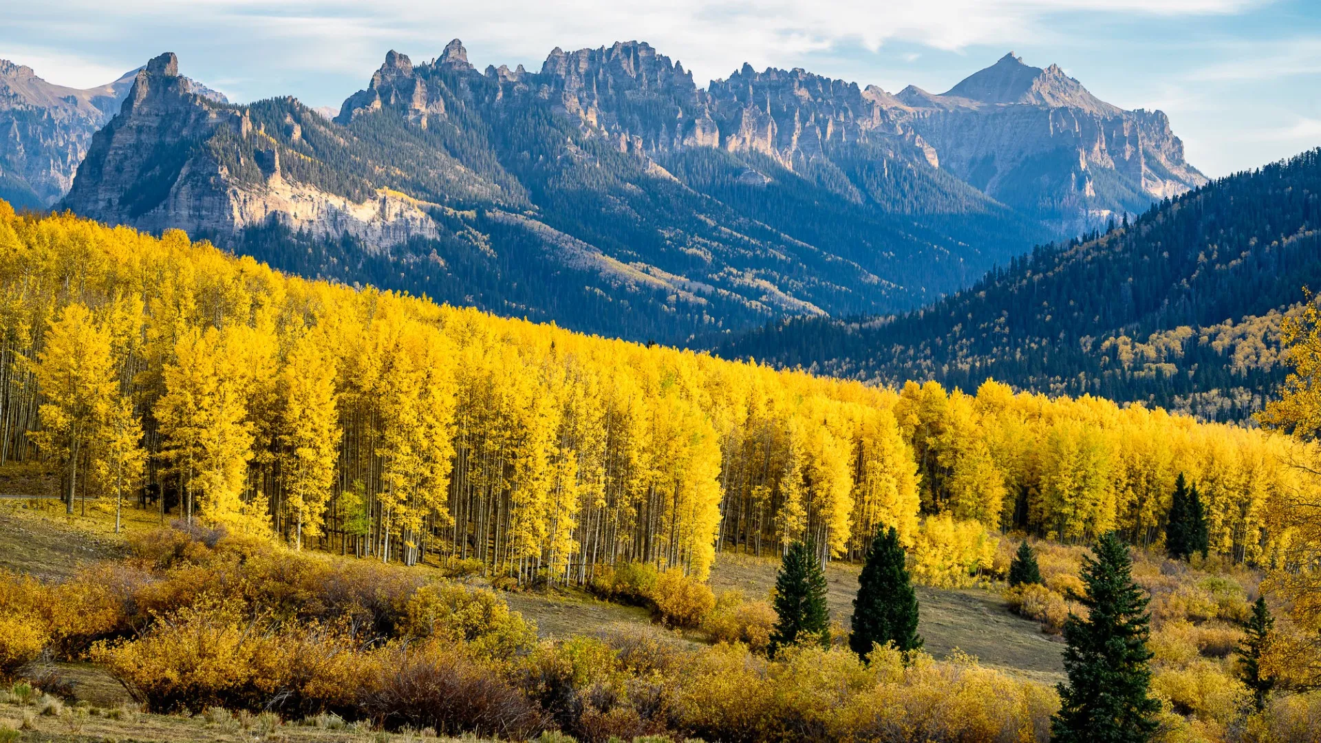 Універсальний об'єктив Nikon Nikkor Z 24-200mm f/4-6.3 VR (JMA710DA) (Standard)