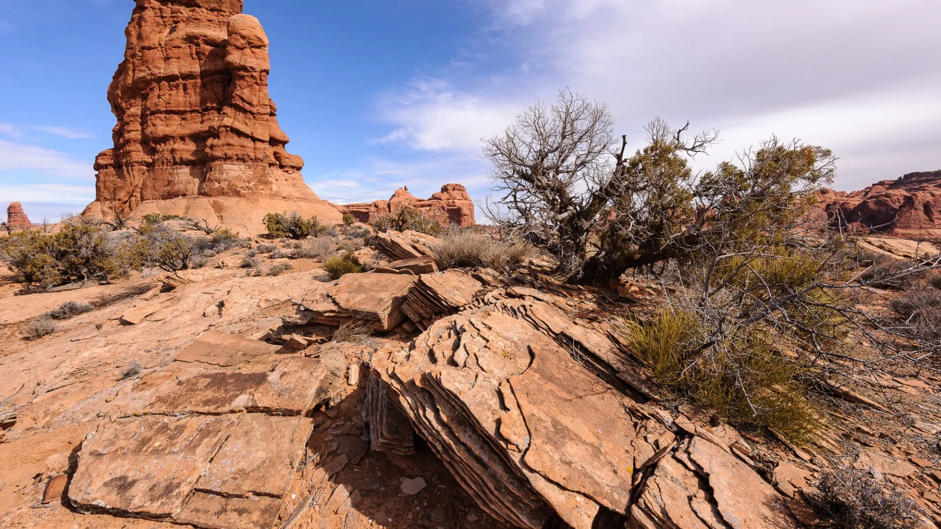 Ширококутний об'єктив Nikon AF-S Nikkor 16-35mm f/4G ED VR (JAA806DB) (Standard)