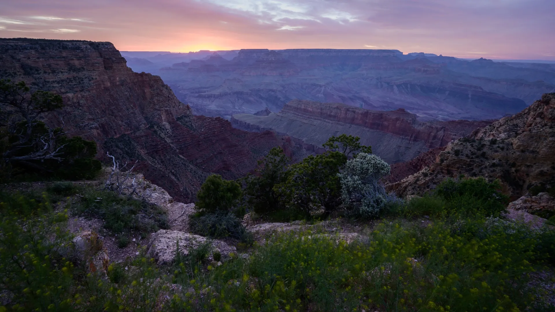 Ширококутний об'єктив Nikon Nikkor Z 14-30mm f/4 S (JMA705DA) (Standard)