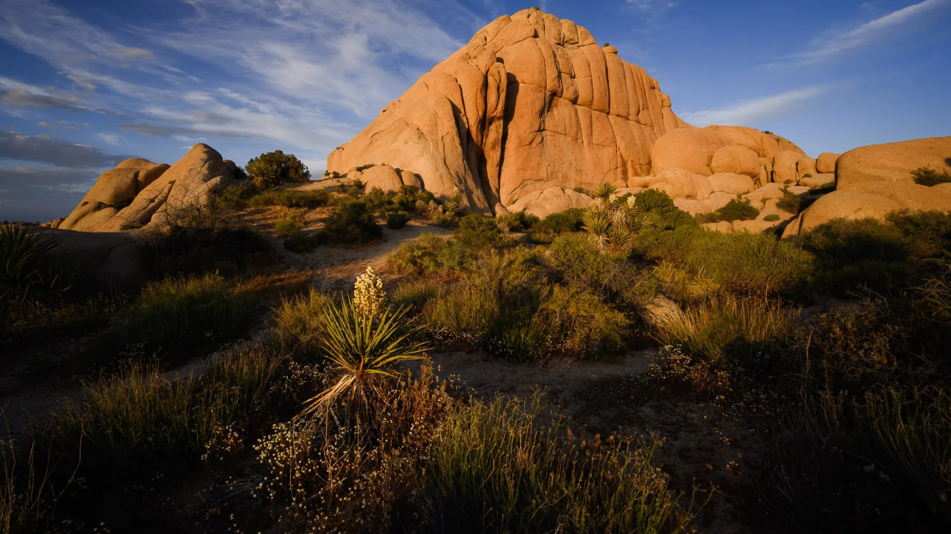 Ширококутний об'єктив Nikon Nikkor Z 14-30mm f/4 S (JMA705DA) (Standard)