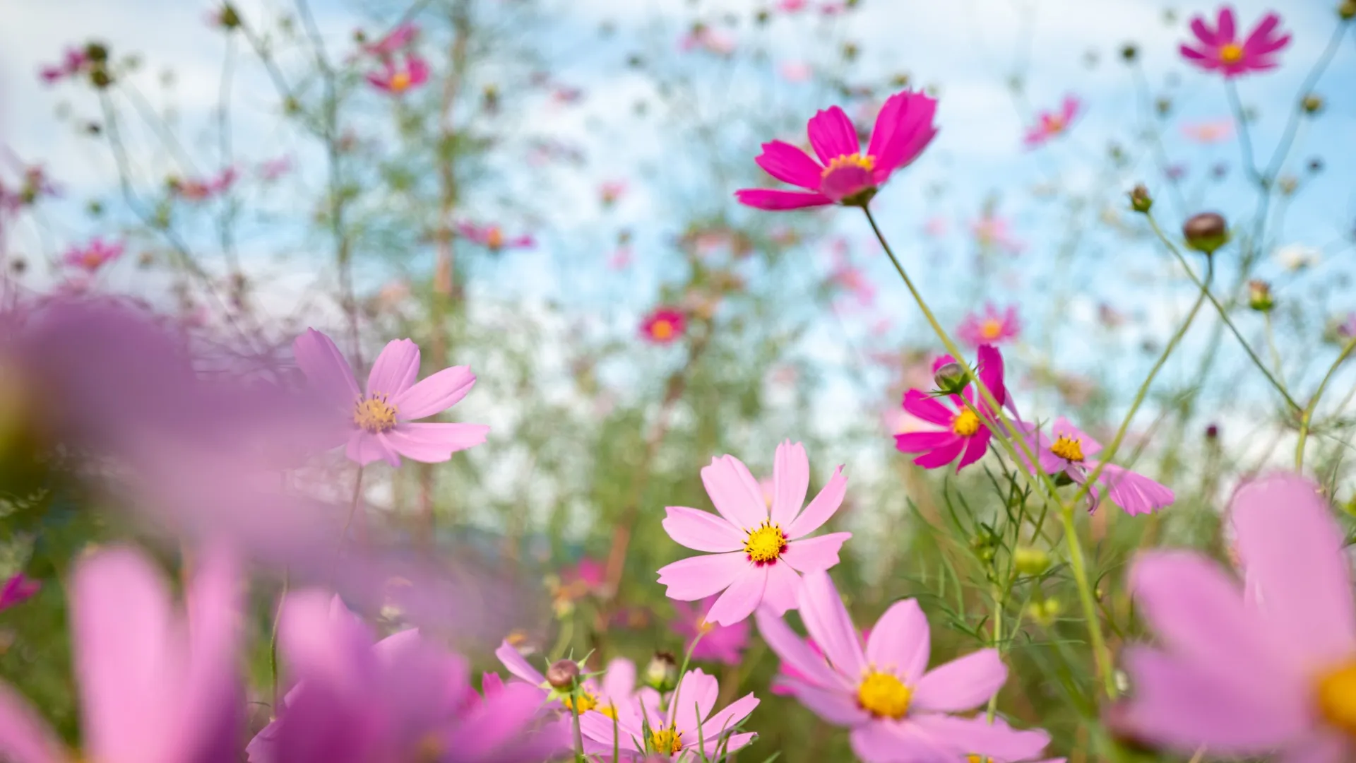 Широкоугольный объектив Nikon Nikkor Z 17-28mm f/2.8 (JMA718DA) (Standard)