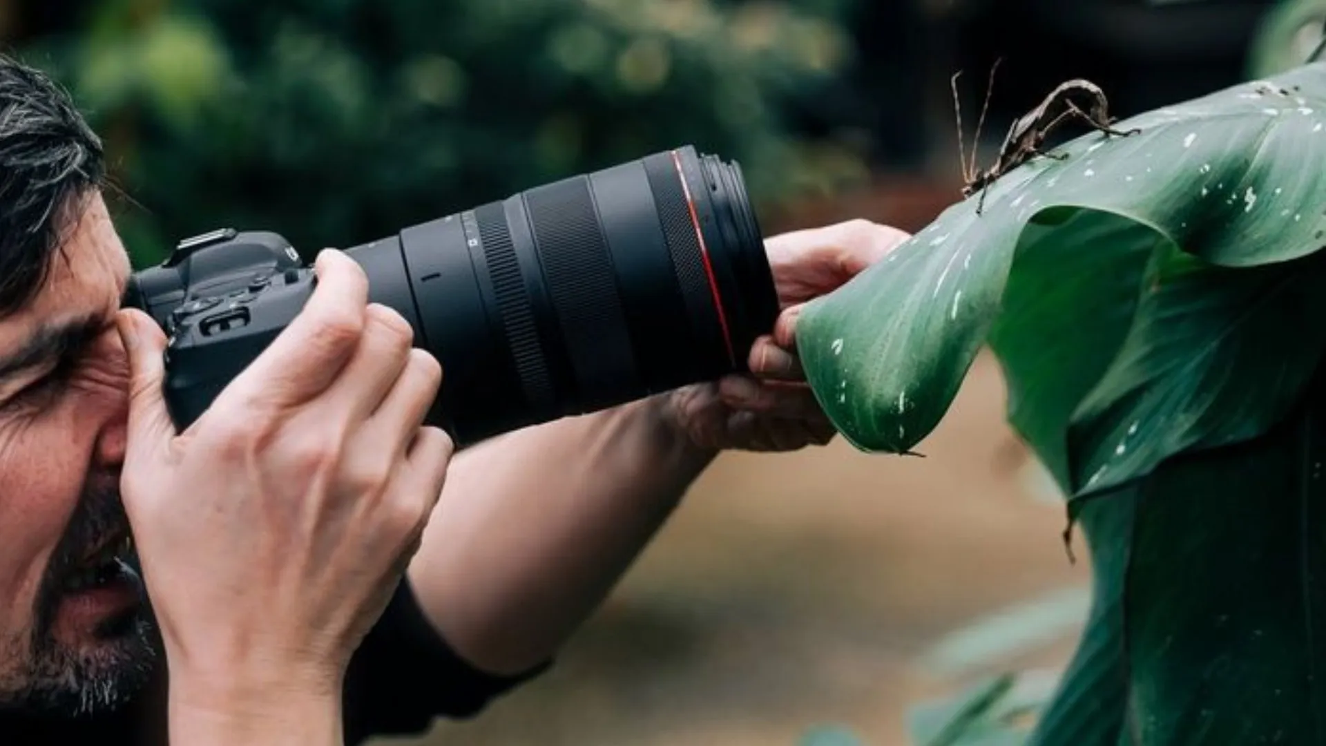 Макрообъектив Canon EF 100mm f/2.8L Macro IS USM (3554B005) (Standard)