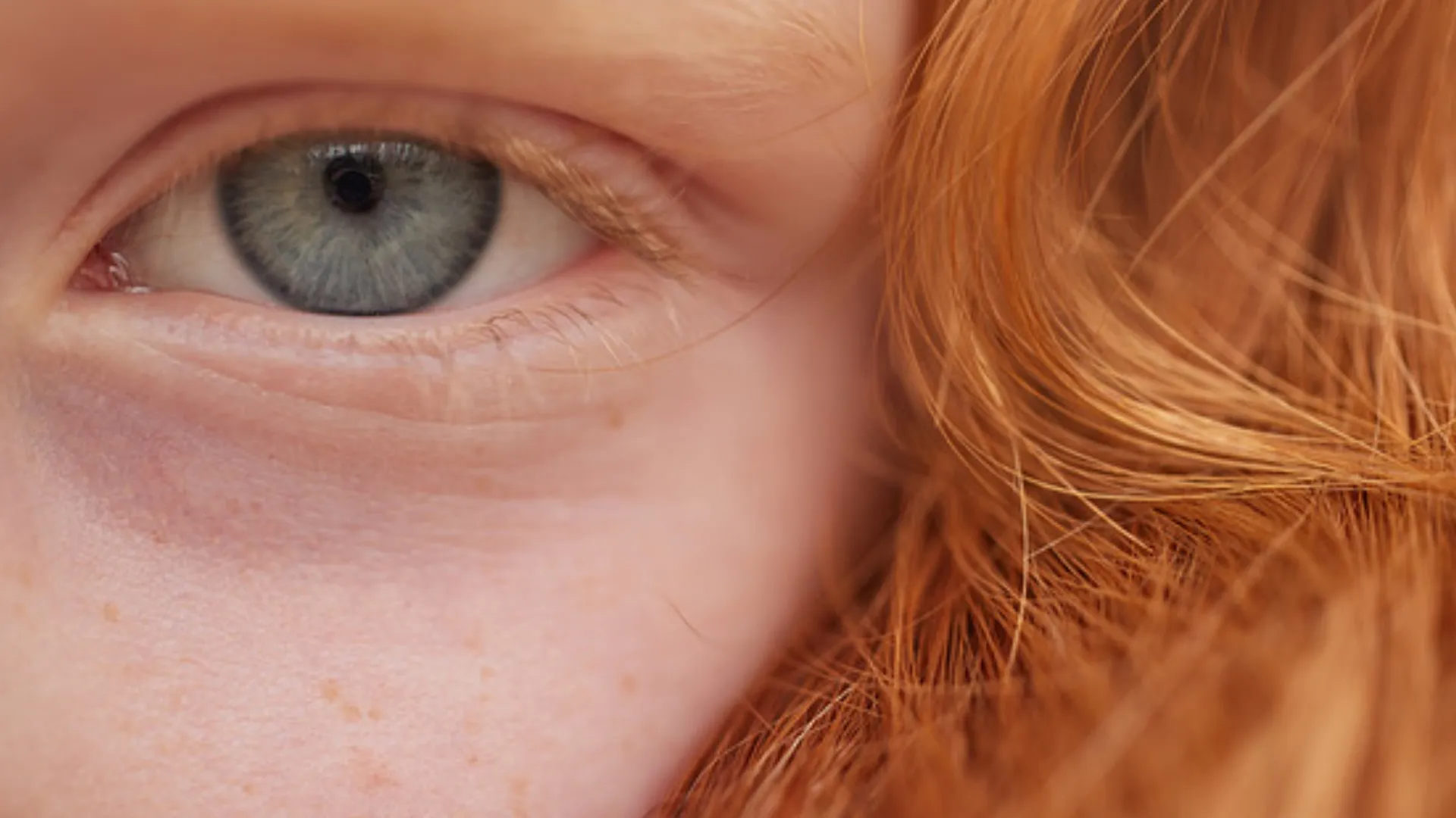 Макрообъектив Canon RF 100mm f/2.8L Macro IS USM (4514C005) (Standard)