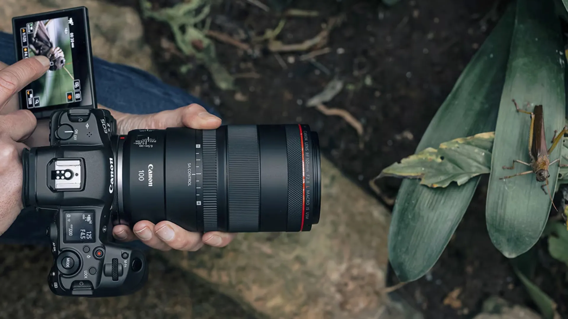 Макрообъектив Canon RF 100mm f/2.8L Macro IS USM (4514C005) (Standard)