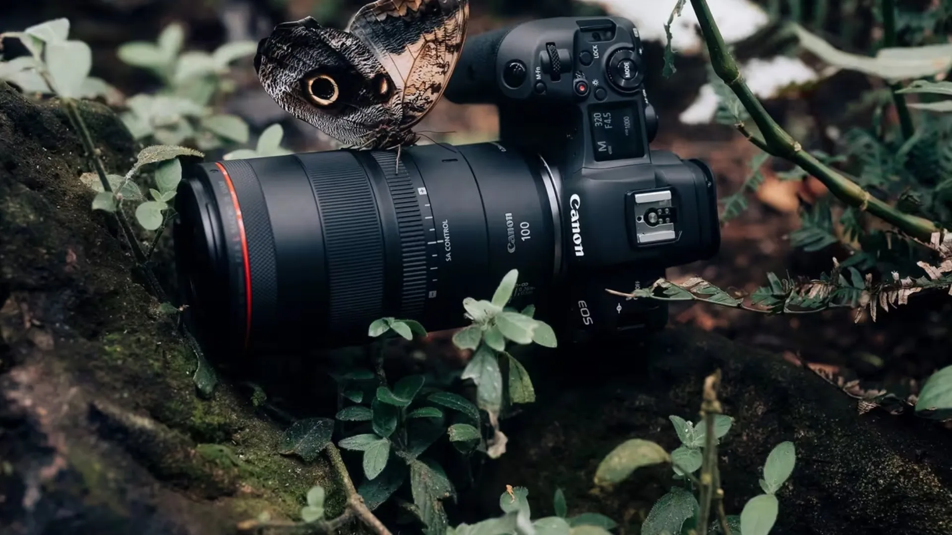 Макрообъектив Canon RF 100mm f/2.8L Macro IS USM (4514C005) (Standard)