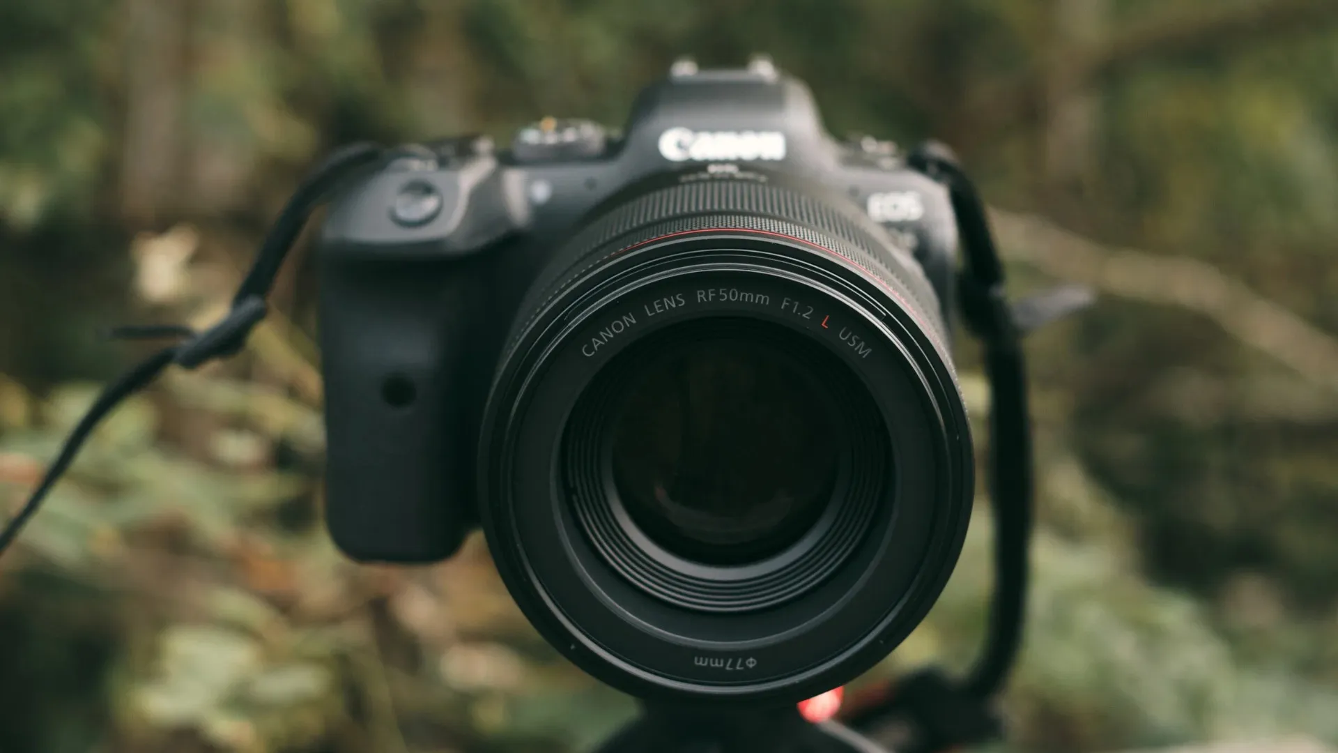 Стандартный объектив Canon RF 50mm f/1.2 L USM (2959C005) (Standard)