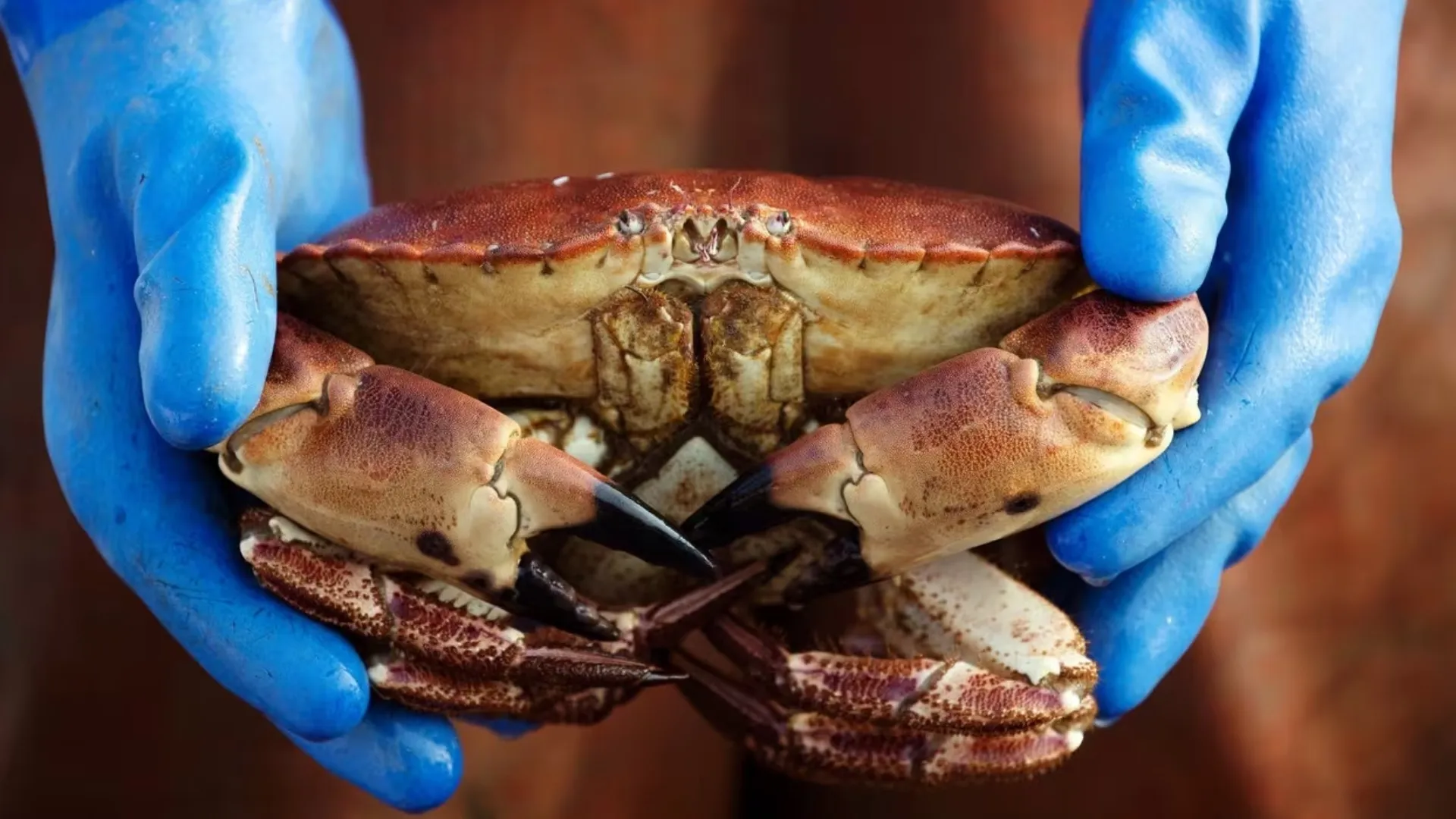 Универсальный объектив Canon RF 70-200mm f/4 L IS USM (4318C005) (Standard)