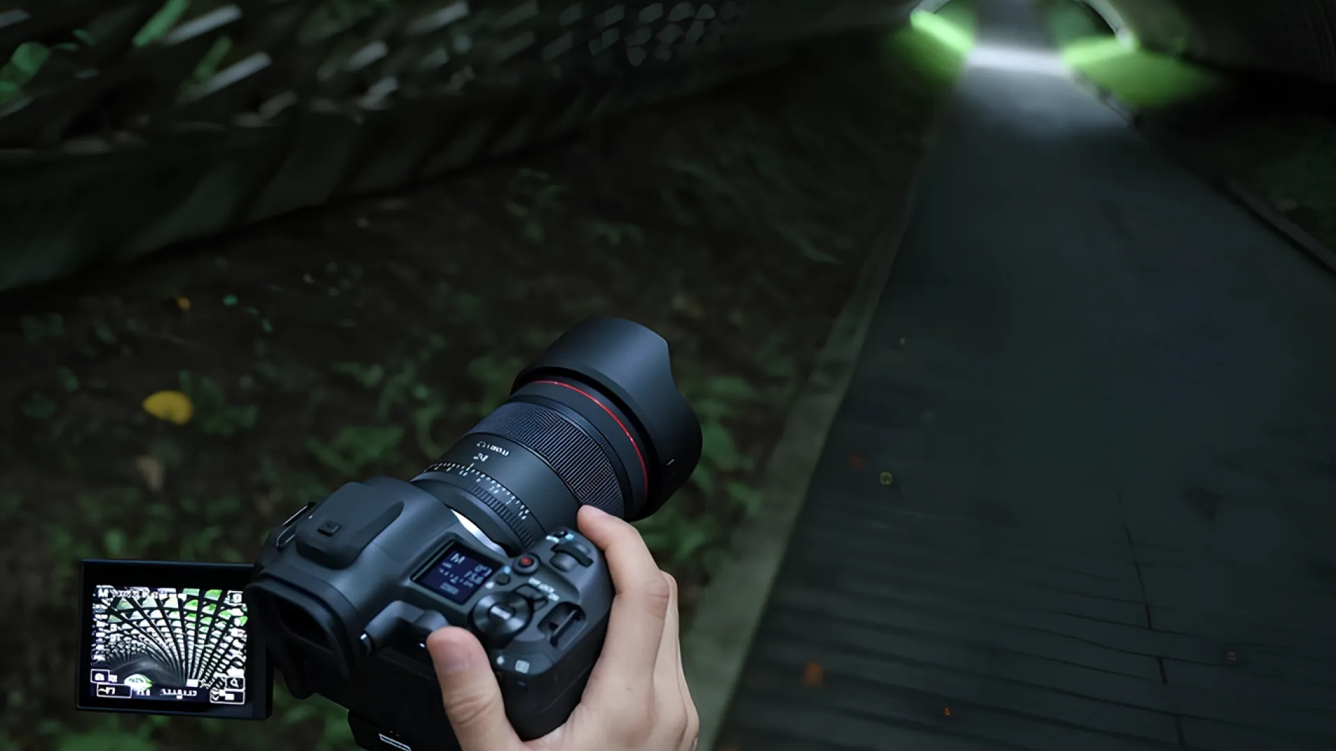 Ширококутний об'єктив Canon RF 24mm F1.4 L VCM (6907C005) (Standard)