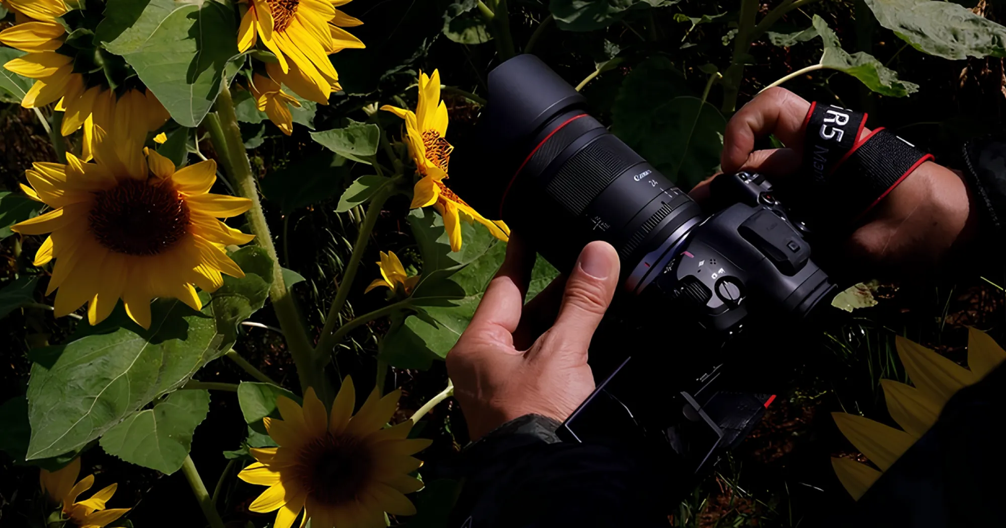 Широкоугольный объектив Canon RF 24mm F1.4 L VCM (6907C005) (Standard)