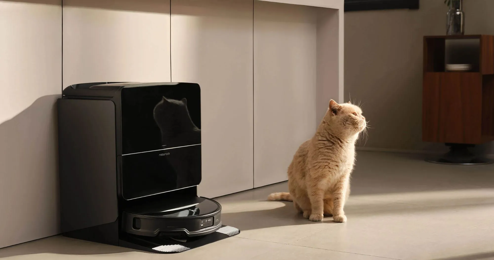 Робот-пилосос RoboRock Saros 10R (Black) (Standard)