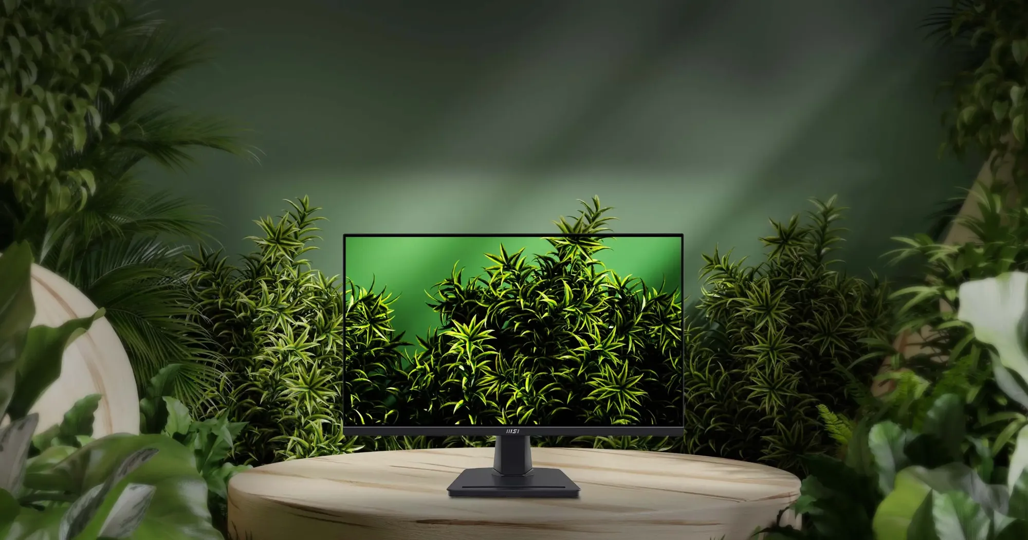 Монітор MSI 23.8" PRO MP245G IPS 100Hz (UA)