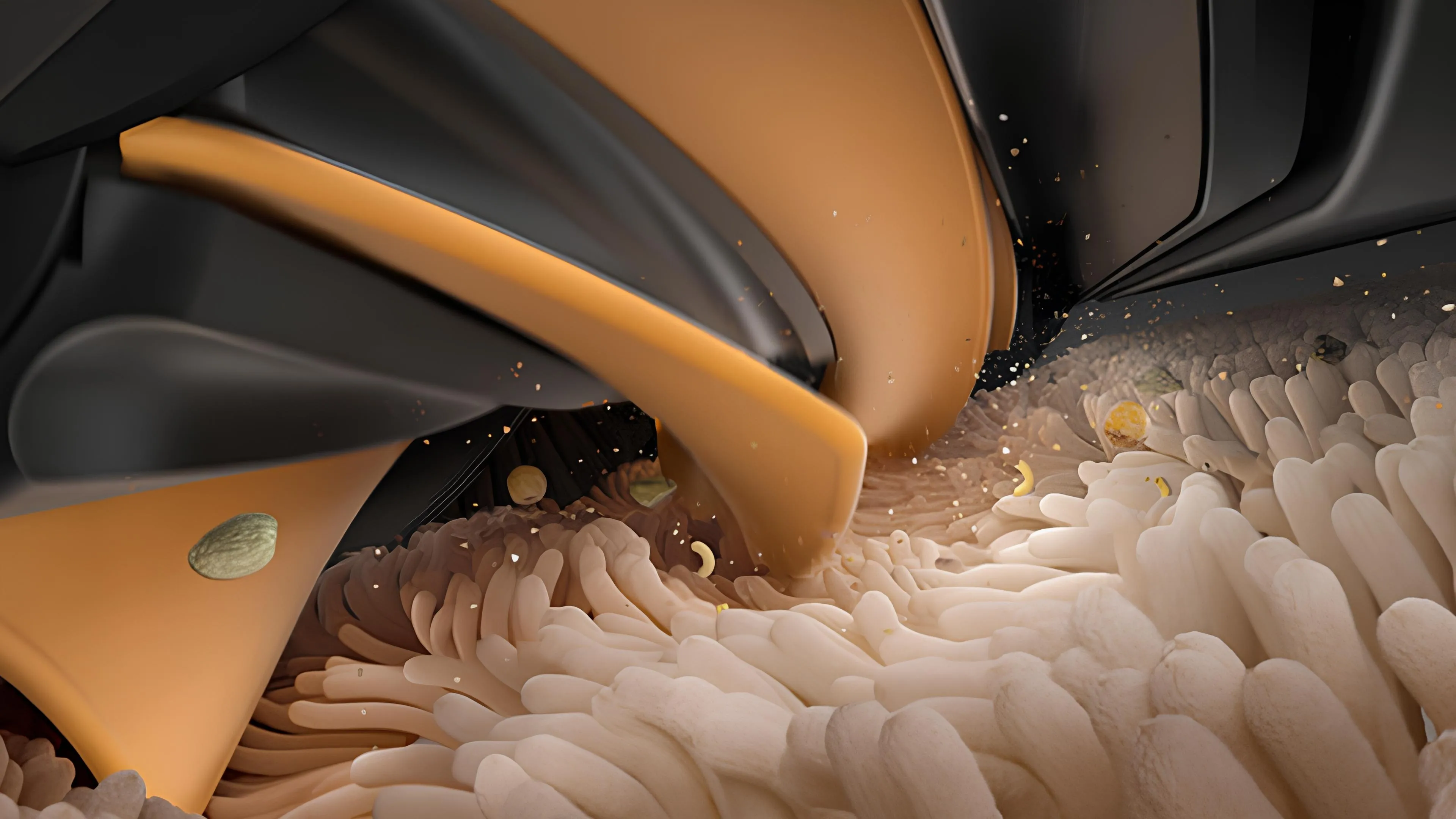 Робот-пылесос Dreame Bot D20 (Black)