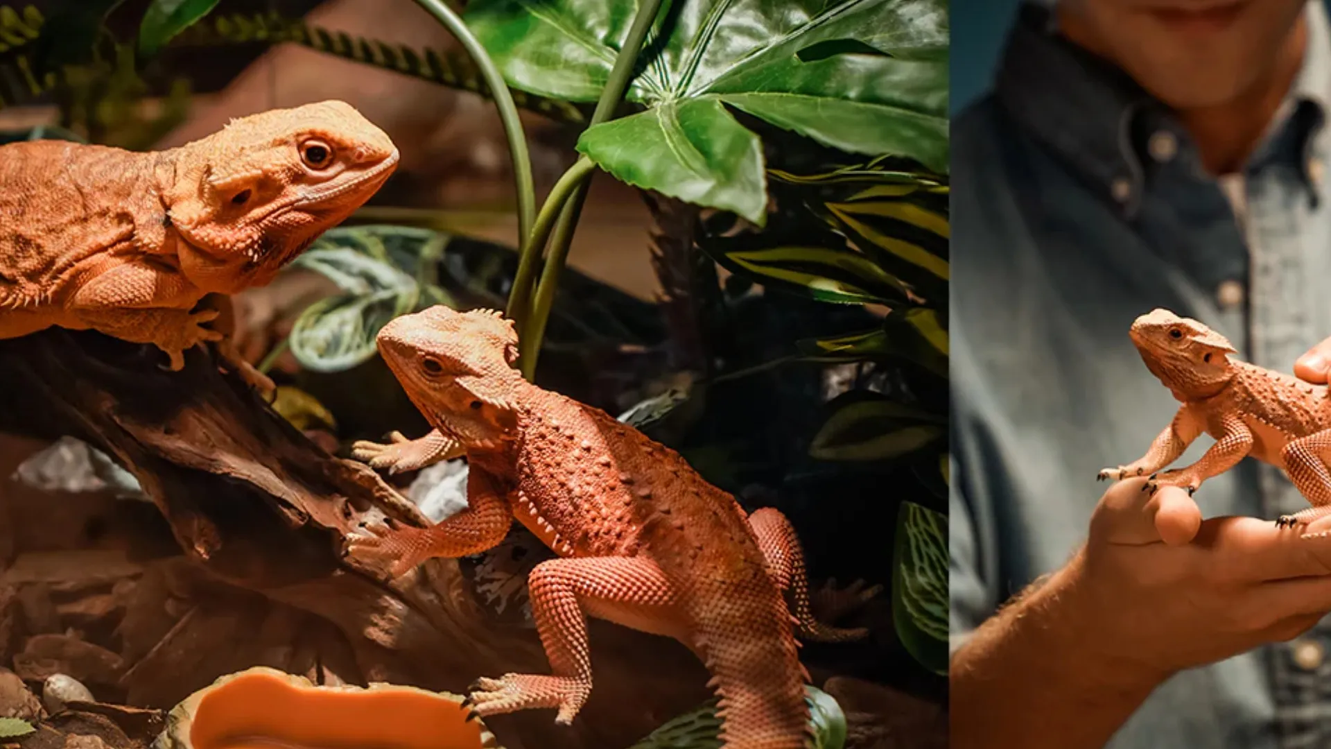 3D-принтер Anycubic Photon Mono M5s (Yellow)