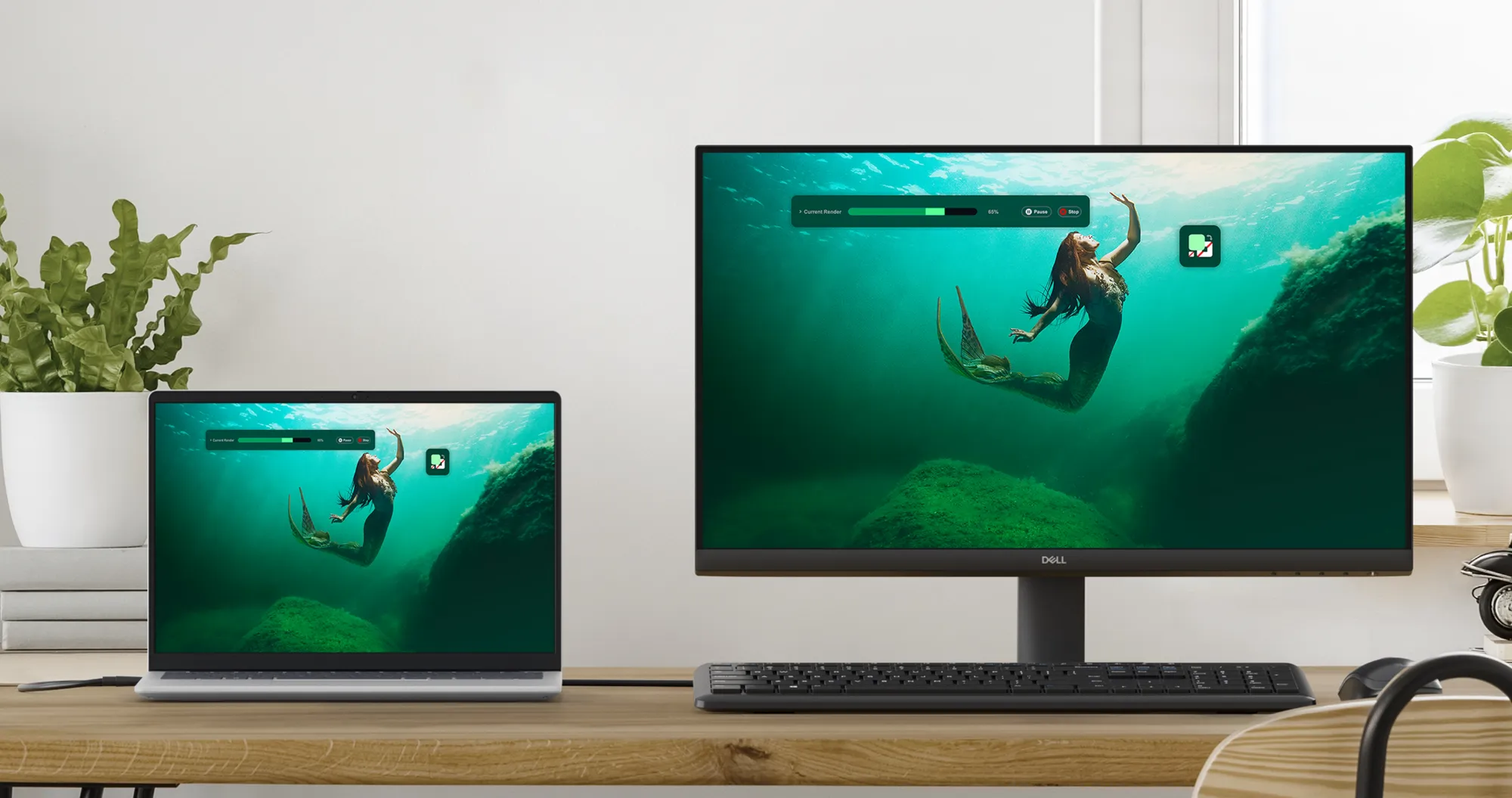 Мониторы Dell