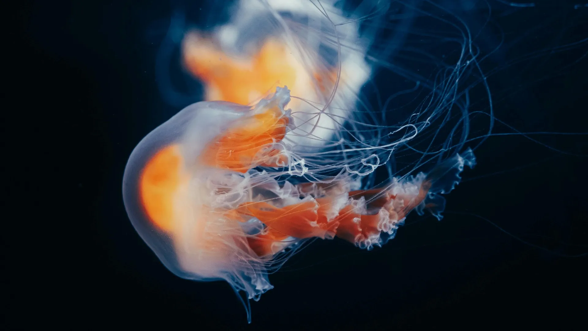 Проектор для дома XGIMI Horizon 20 (Ivory Gray) (UA)