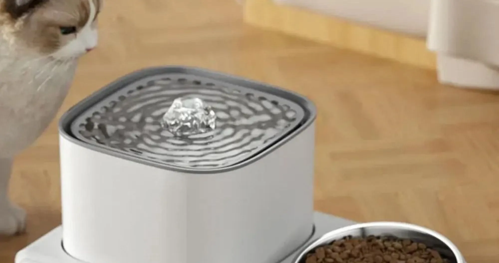 Поїлка з годівницею 2 в 1 Lapka (WF072) (White)