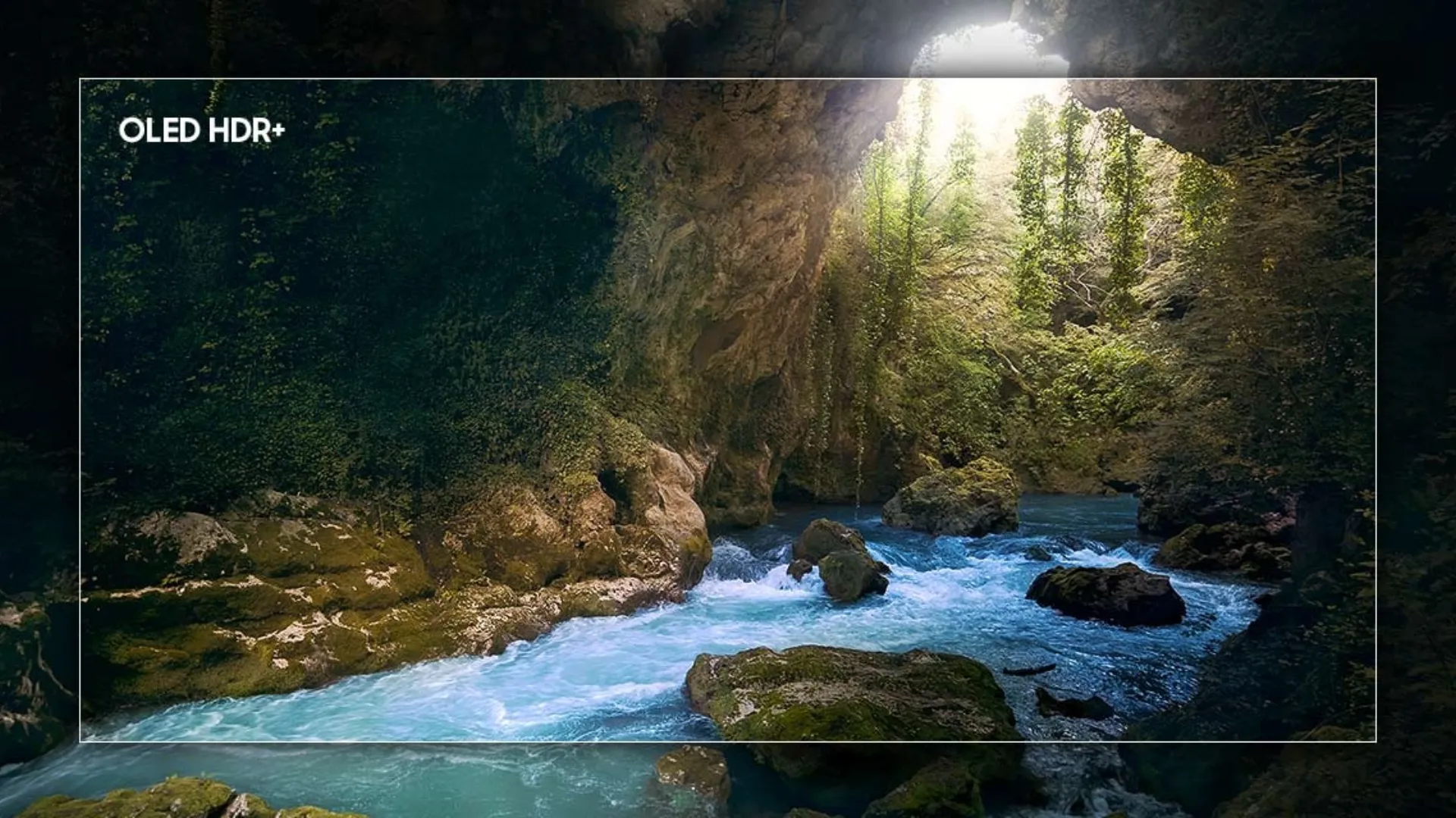 Телевізор Samsung 83 QE83S91FAEXUA (UA)