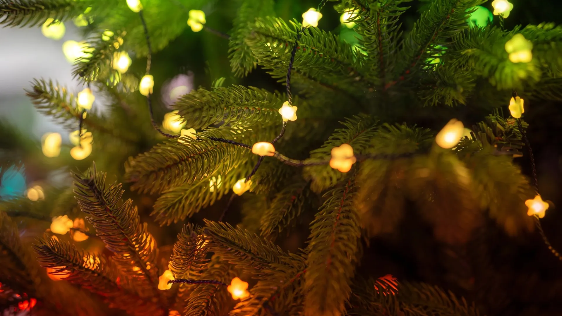 Гірлянда Smart LED Twinkly Strings Star RGB 200 IP20 6м