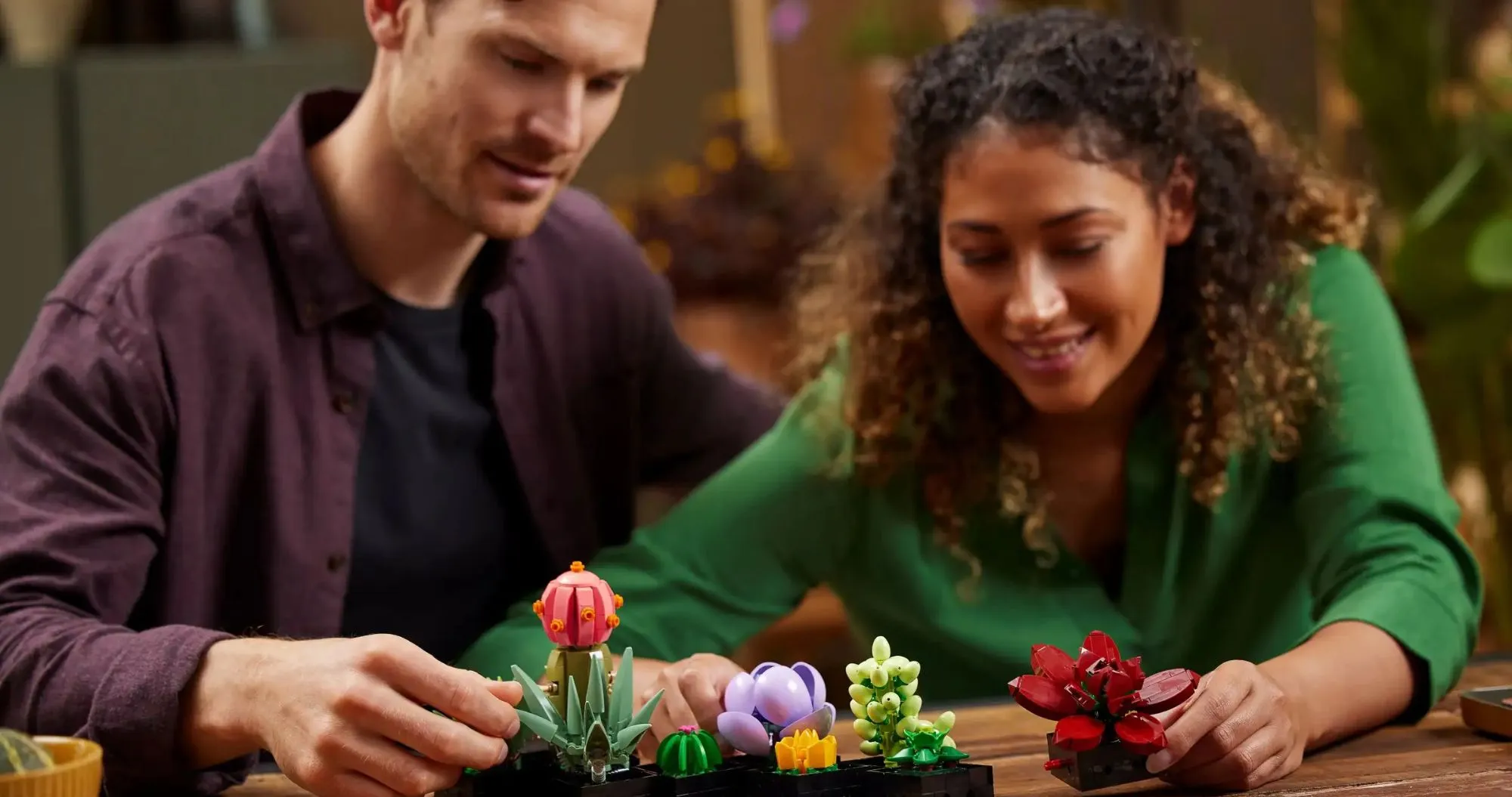 Конструктор LEGO Botanicals Суккуленты (10309)