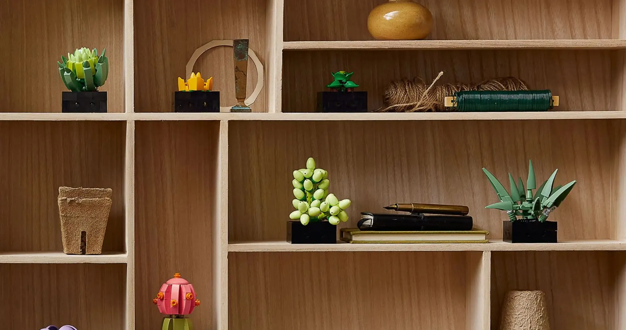 Конструктор LEGO Botanicals Суккуленты (10309)