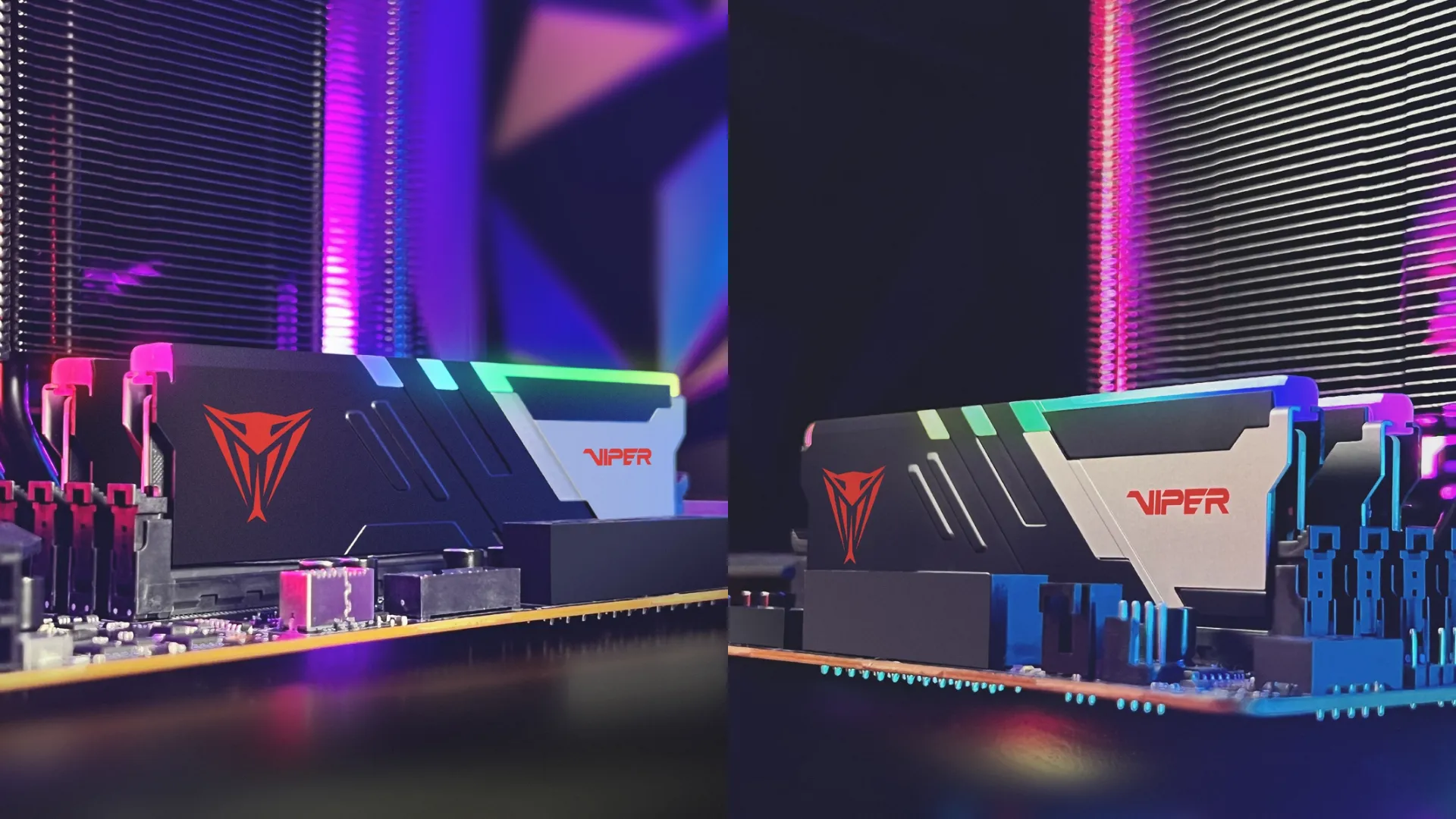 Оперативная память Patriot Viper Venom RGB DDR5 32GB 2x16GB 7200MHz (PVVR532G720C34K)