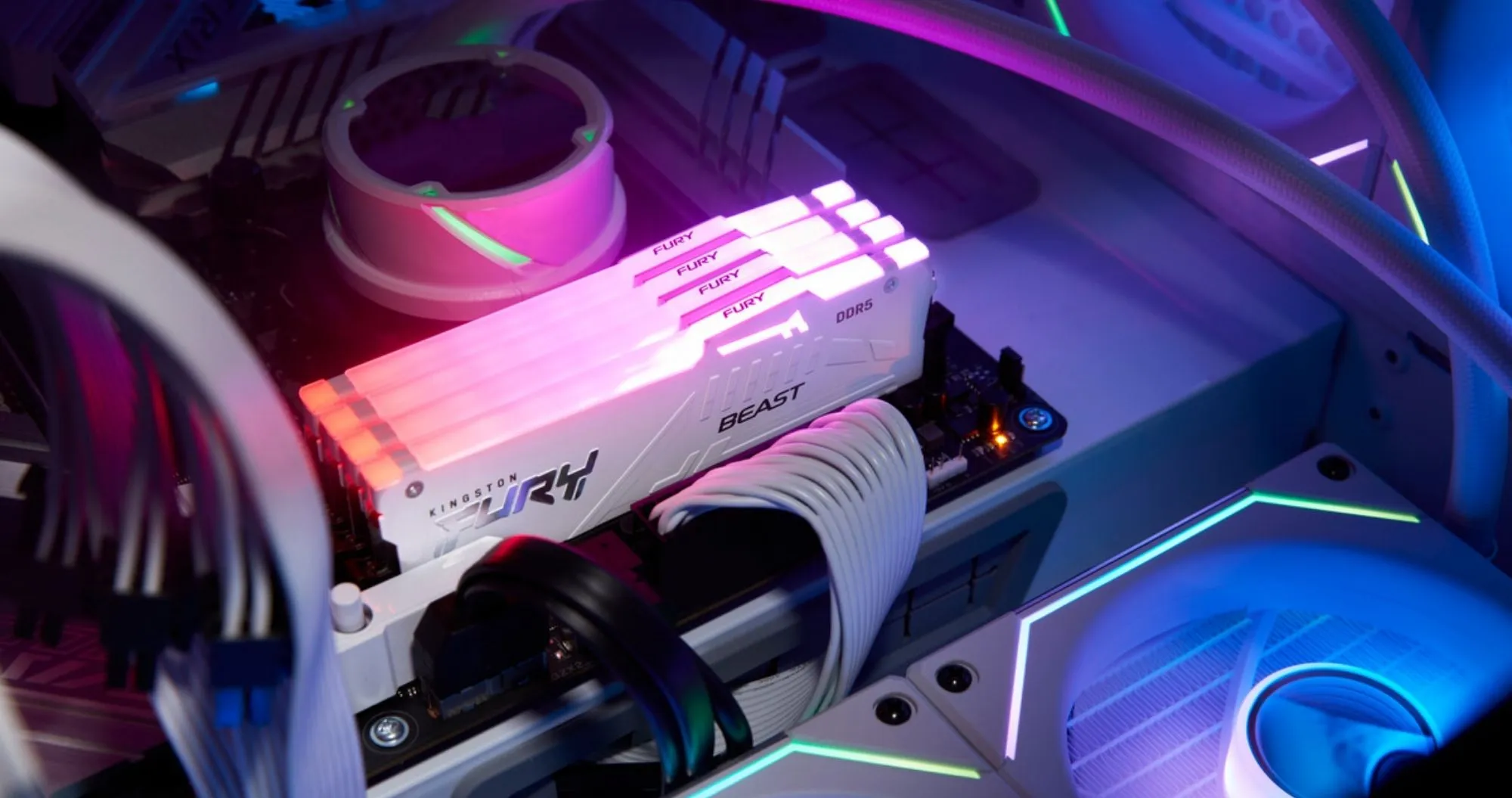 Оперативная память Kingston Fury Beast RGB DDR5 32GB 1x32GB 5600MHz (KF556C40BWA-32)