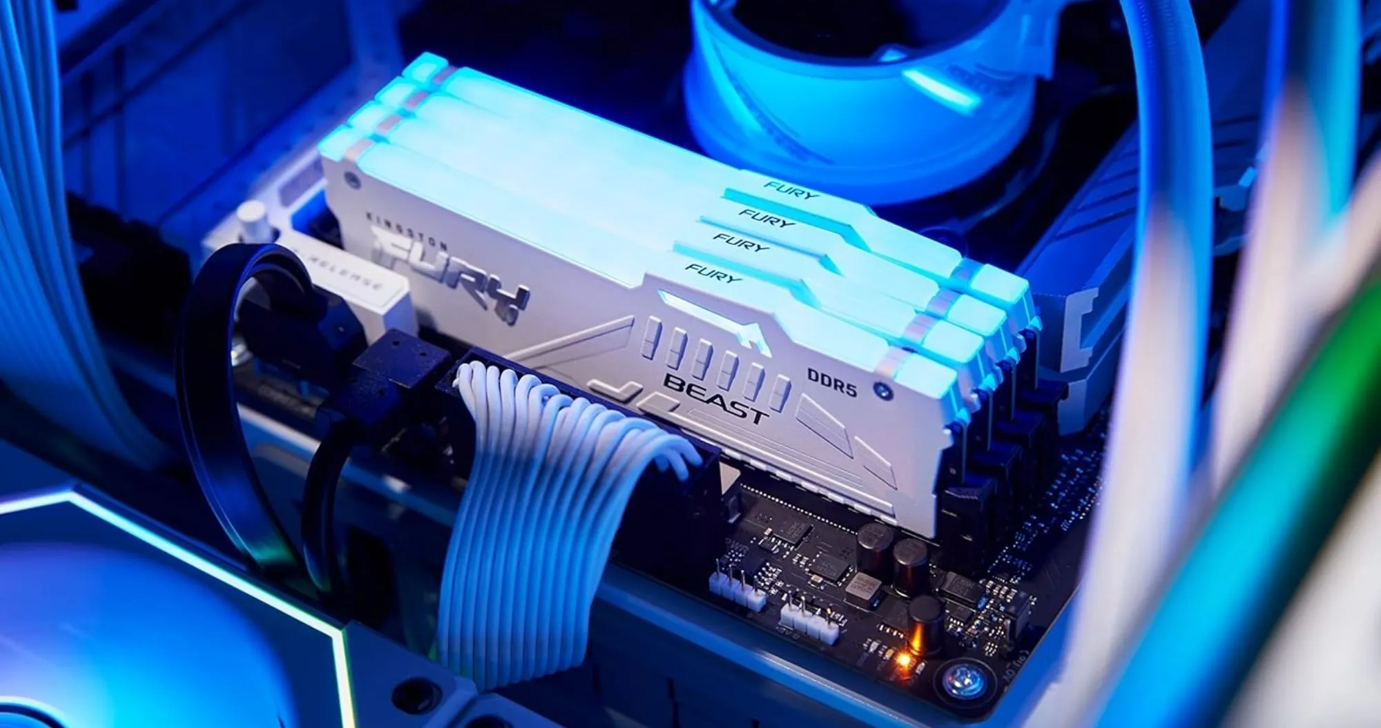 Оперативная память Kingston Fury Beast RGB DDR5 32GB 1x32GB 5600MHz (KF556C40BWA-32)