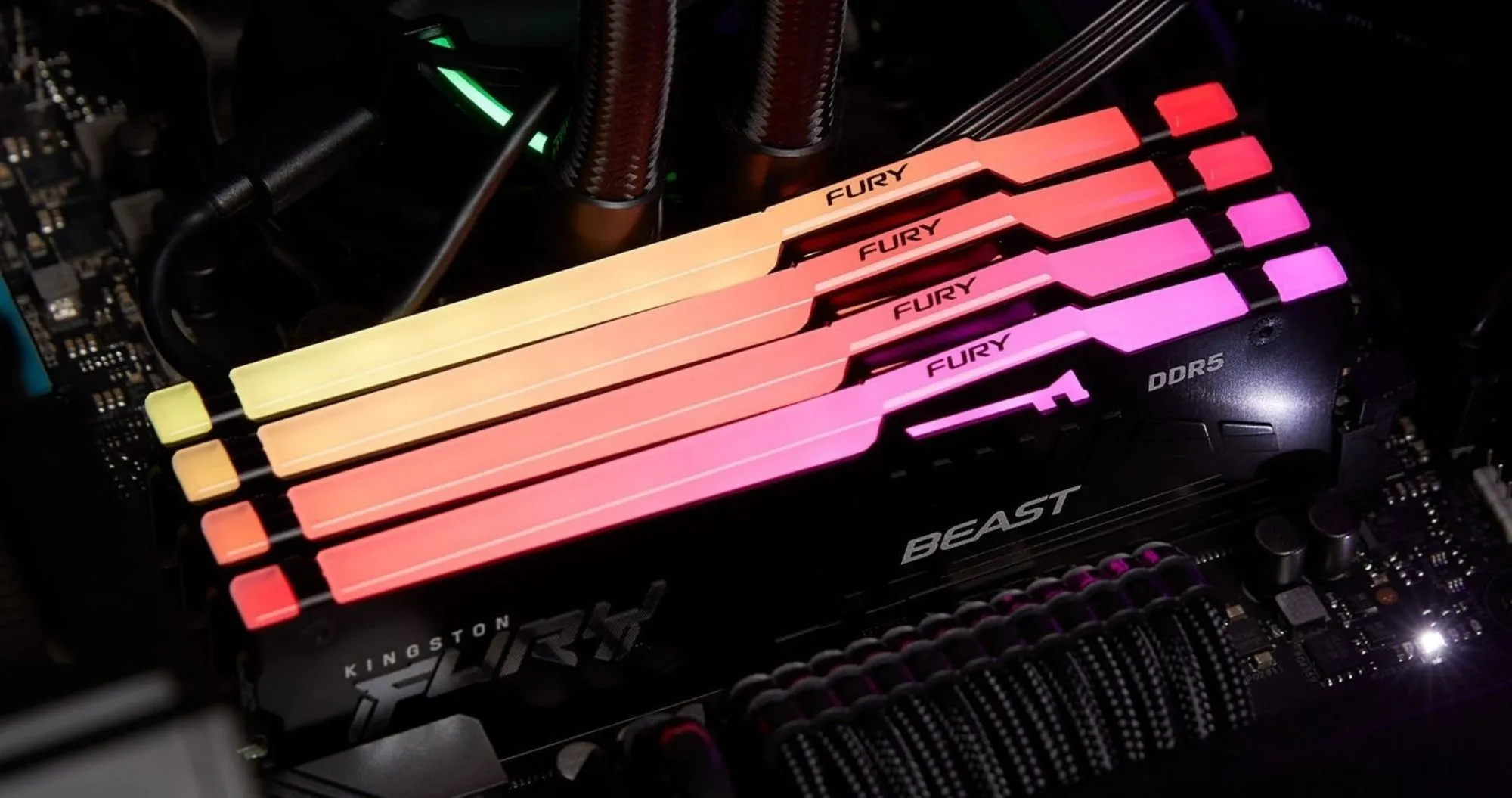 Оперативна памʼять Kingston Fury Beast RGB DDR5 64GB 2x32GB 5600MHz (KF556C40BBAK2-64)