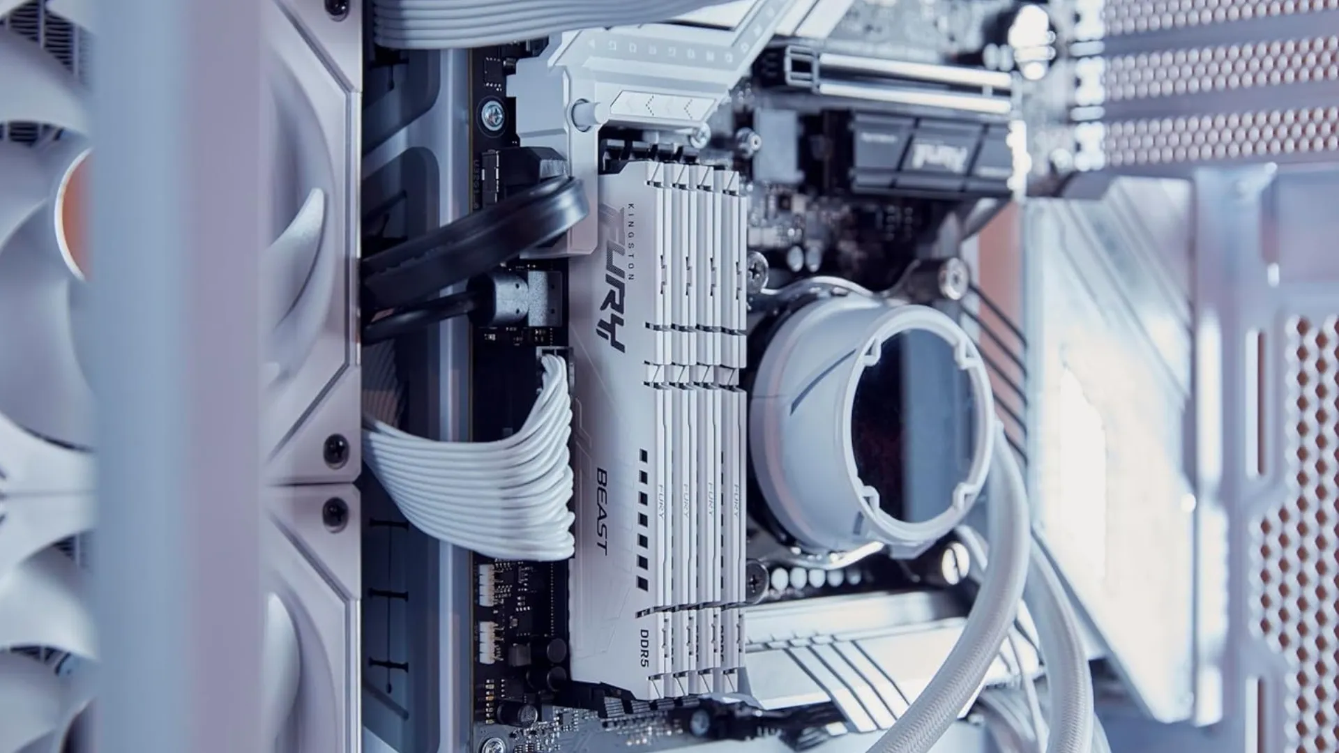 Оперативная память Kingston Fury Beast White DDR5 16GB 1x16GB 5600MHz (KF556C36BWE-16)