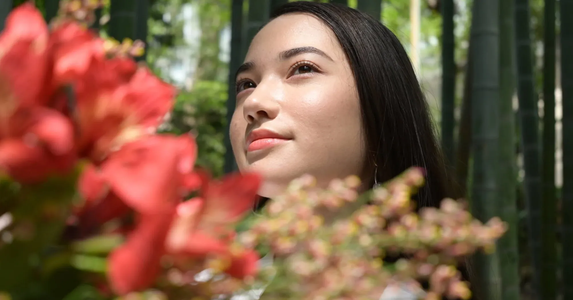 Стандартний об'єктив Nikon Nikkor Z 24-50mm f/4-6.3 (JMA712DA) (Standard)