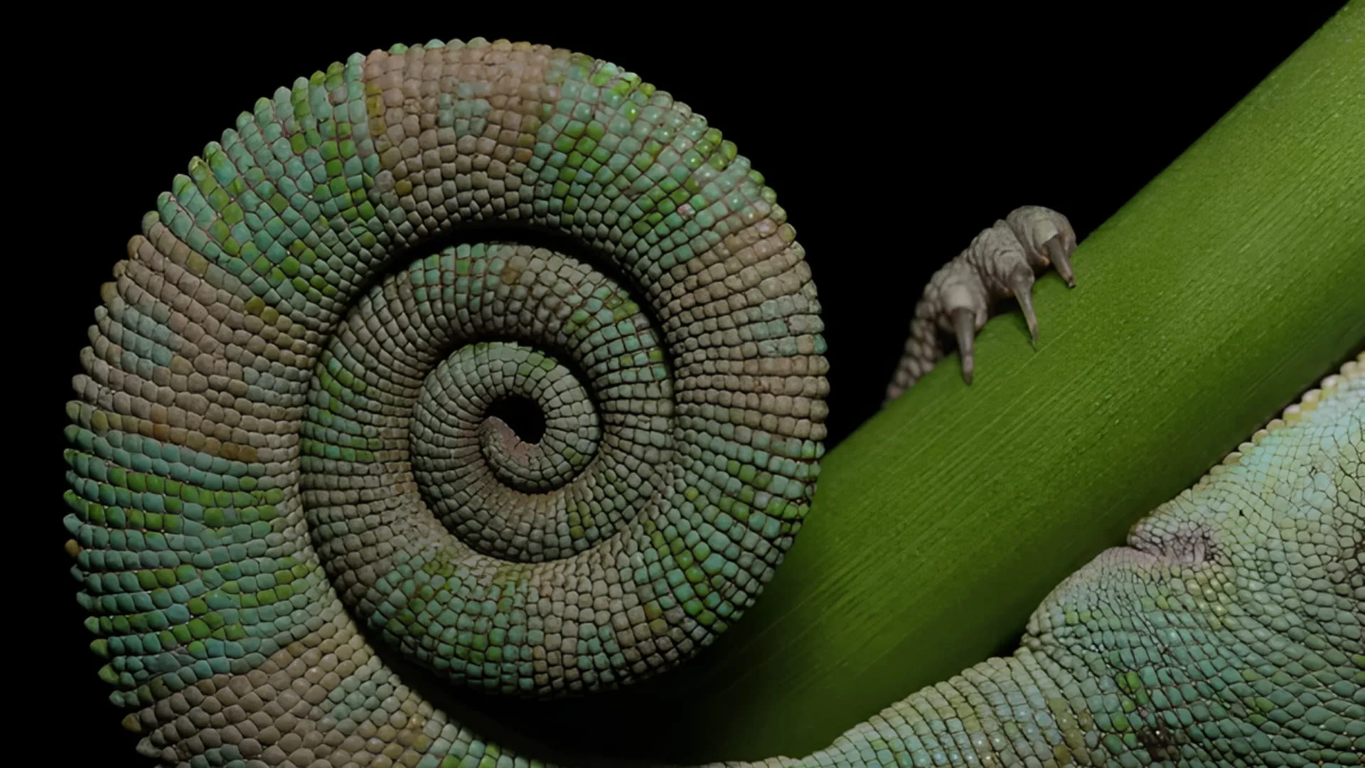 Вспышка Canon MT-26EX-RT Macro Twin Lite Flash (2398C003)