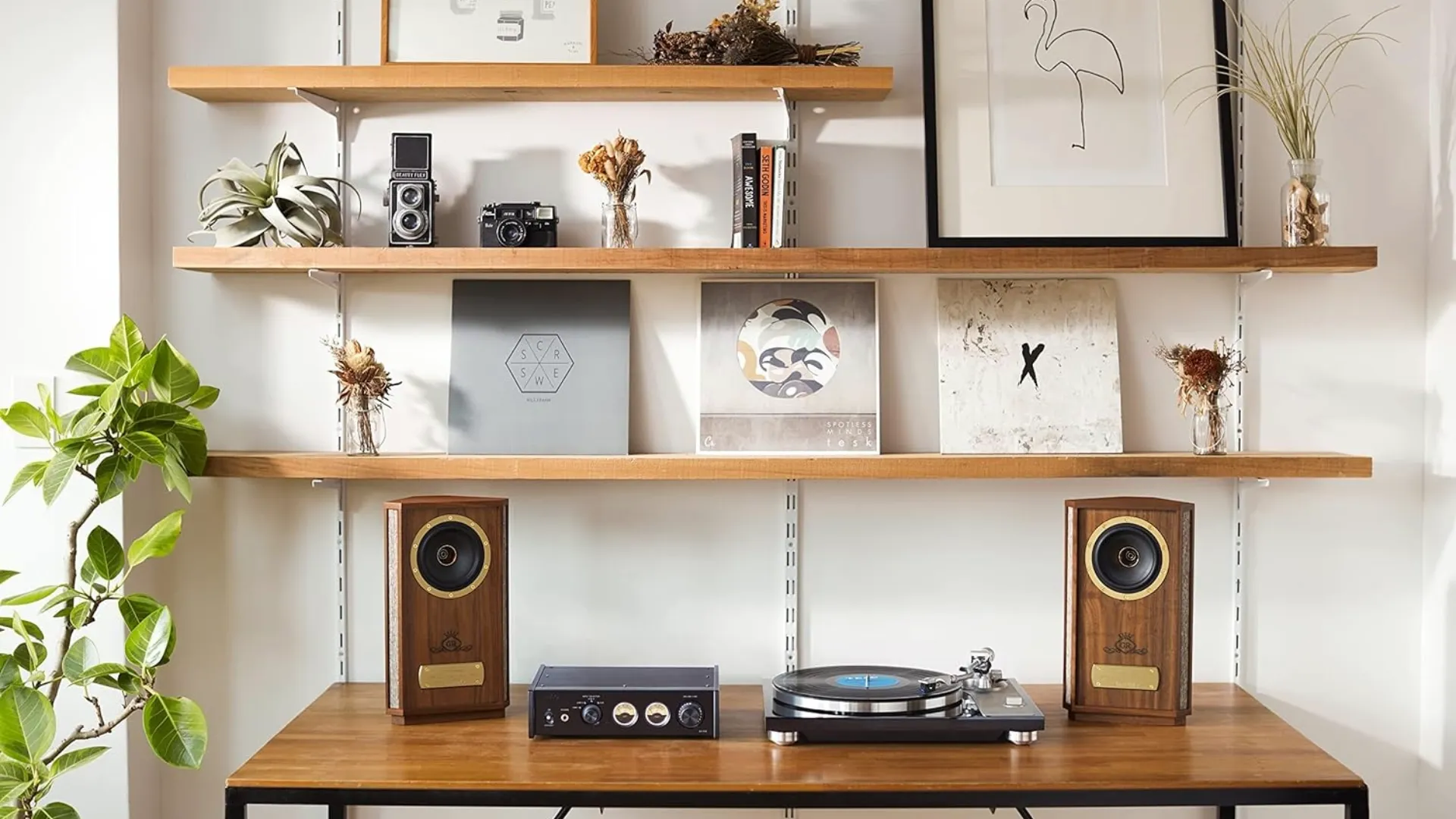 Виниловый проигрыватель TEAC Hi-Fi с (Black)