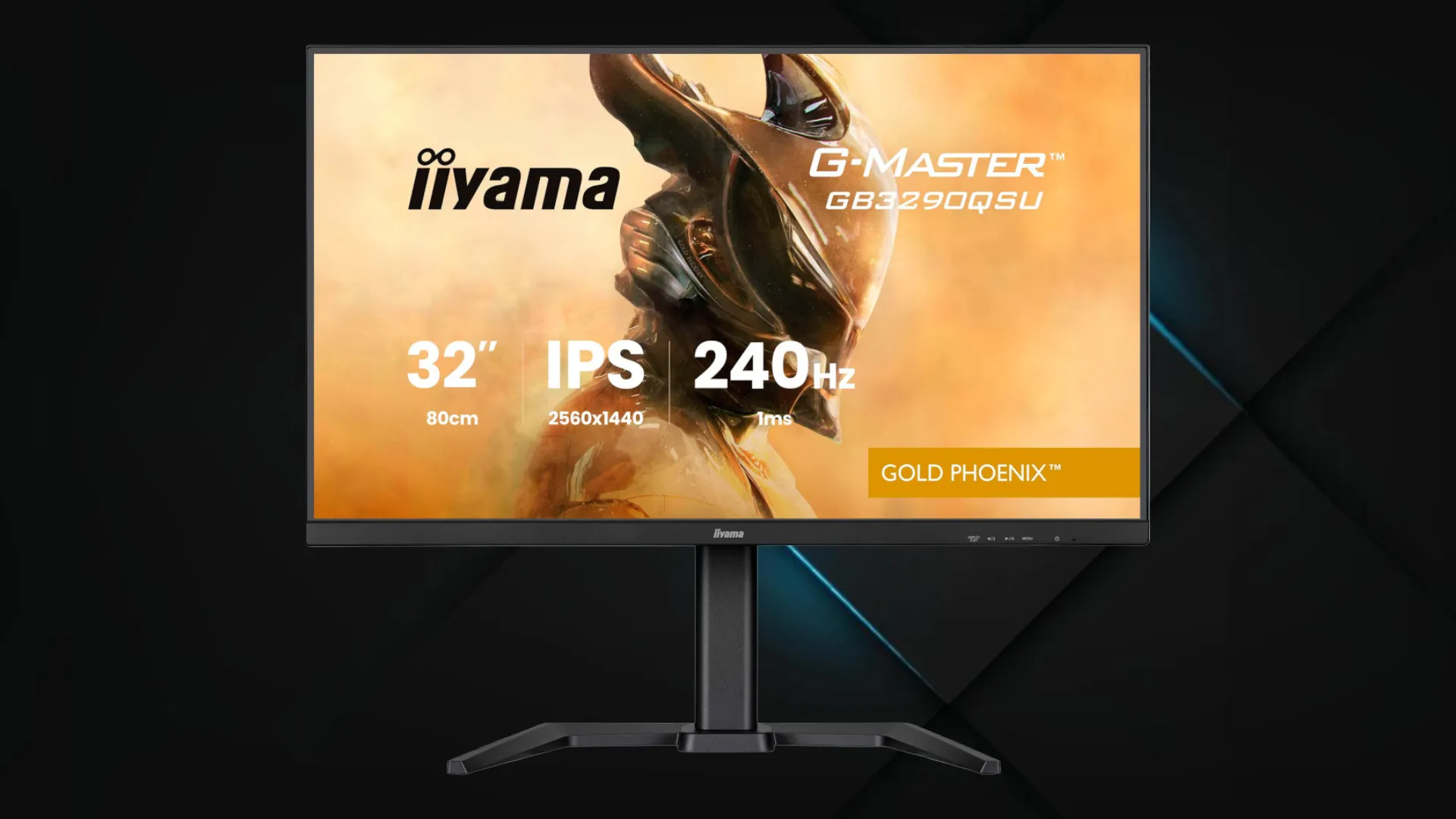Монитор iiyama 31.5" G-Master IPS 240Hz GB3290QSU-B1 (UA)