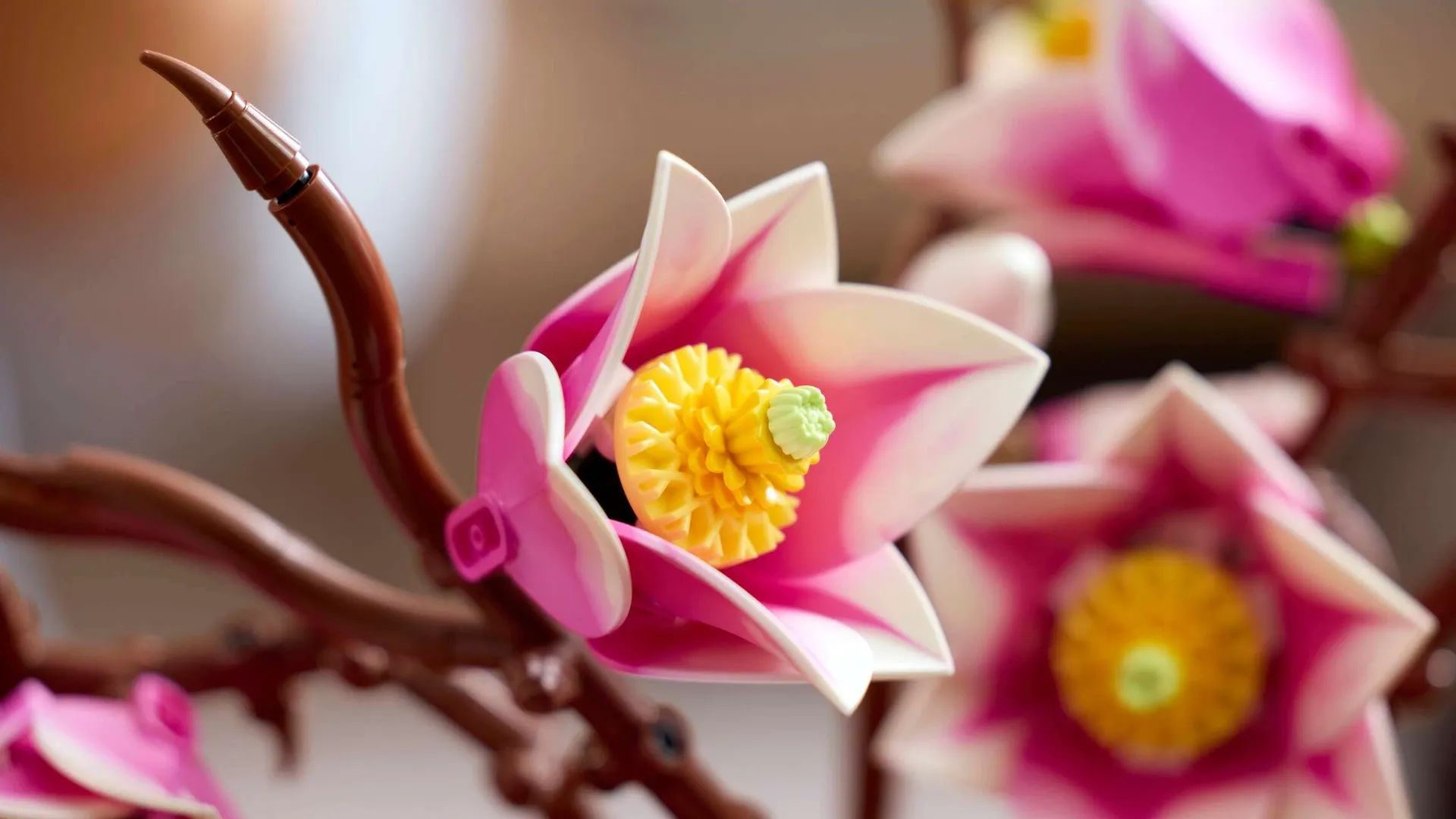 Конструктор LEGO Botanicals Гілки магнолії (11510)