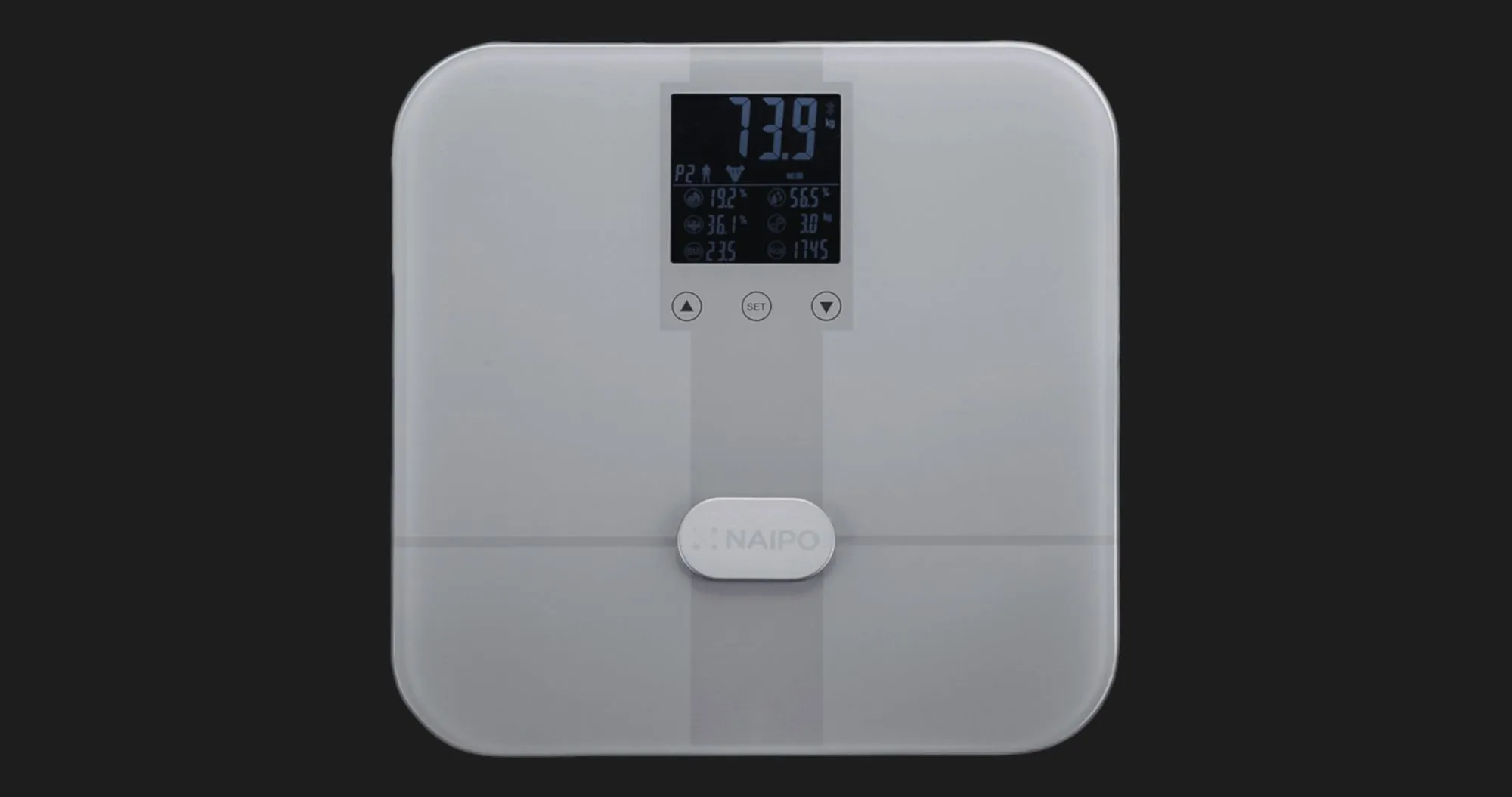 Ваги Naipo (Gray) (NP-BS02)