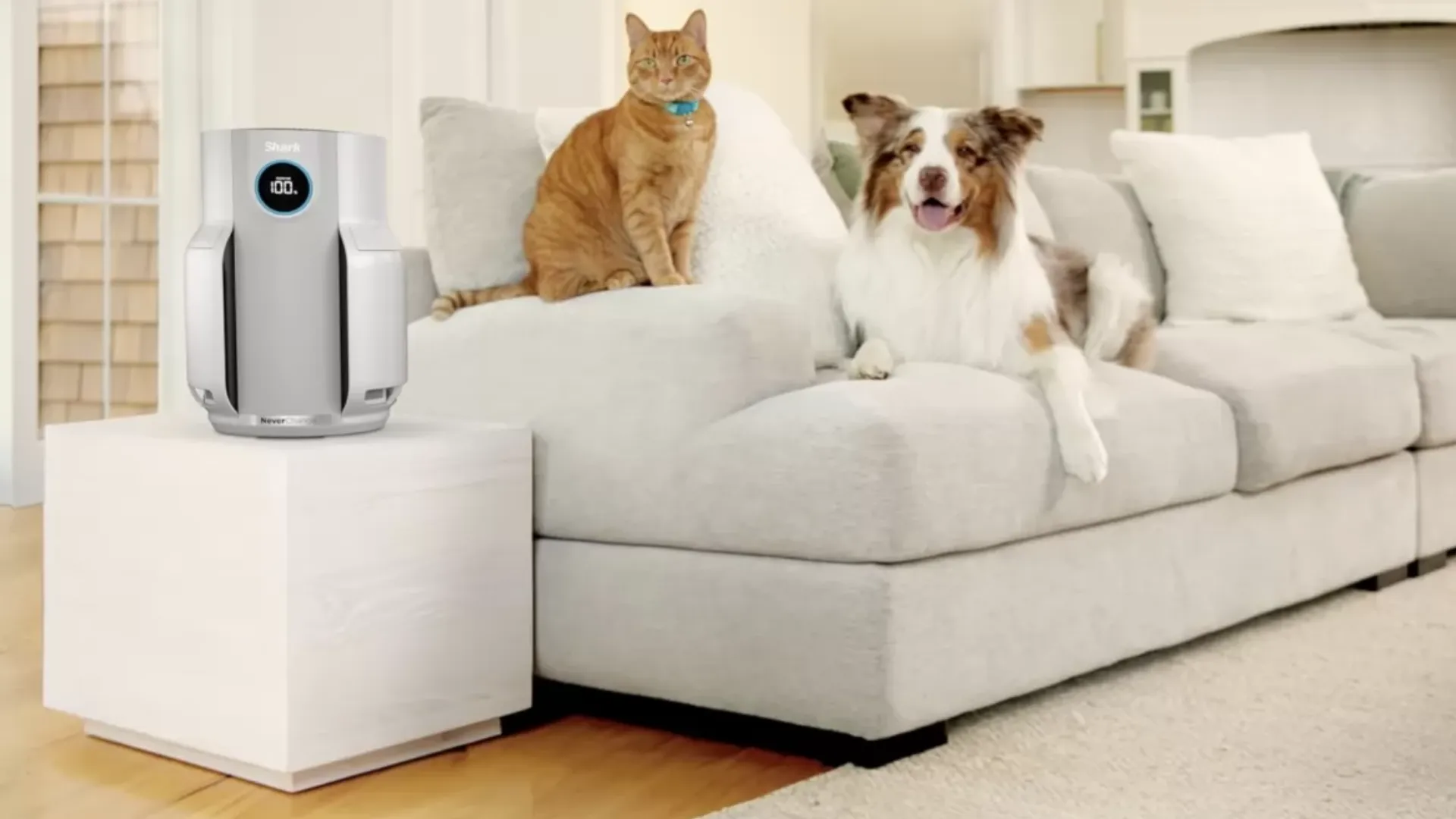 Очиститель воздуха Shark NeverChange5 Air Purifier (White) (Standard)