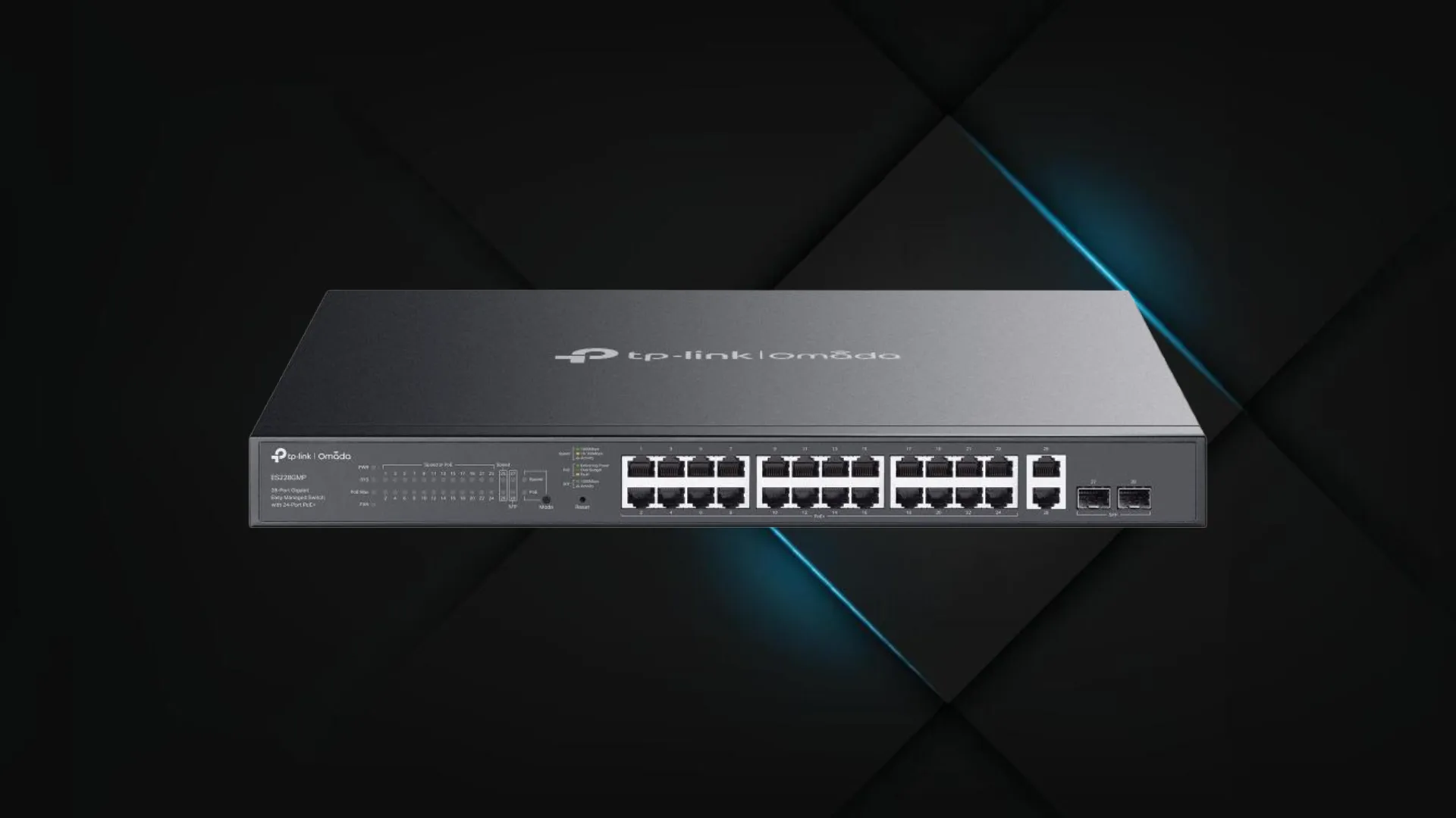 Комутатор TP-LINK ES228GMP (Gray)
