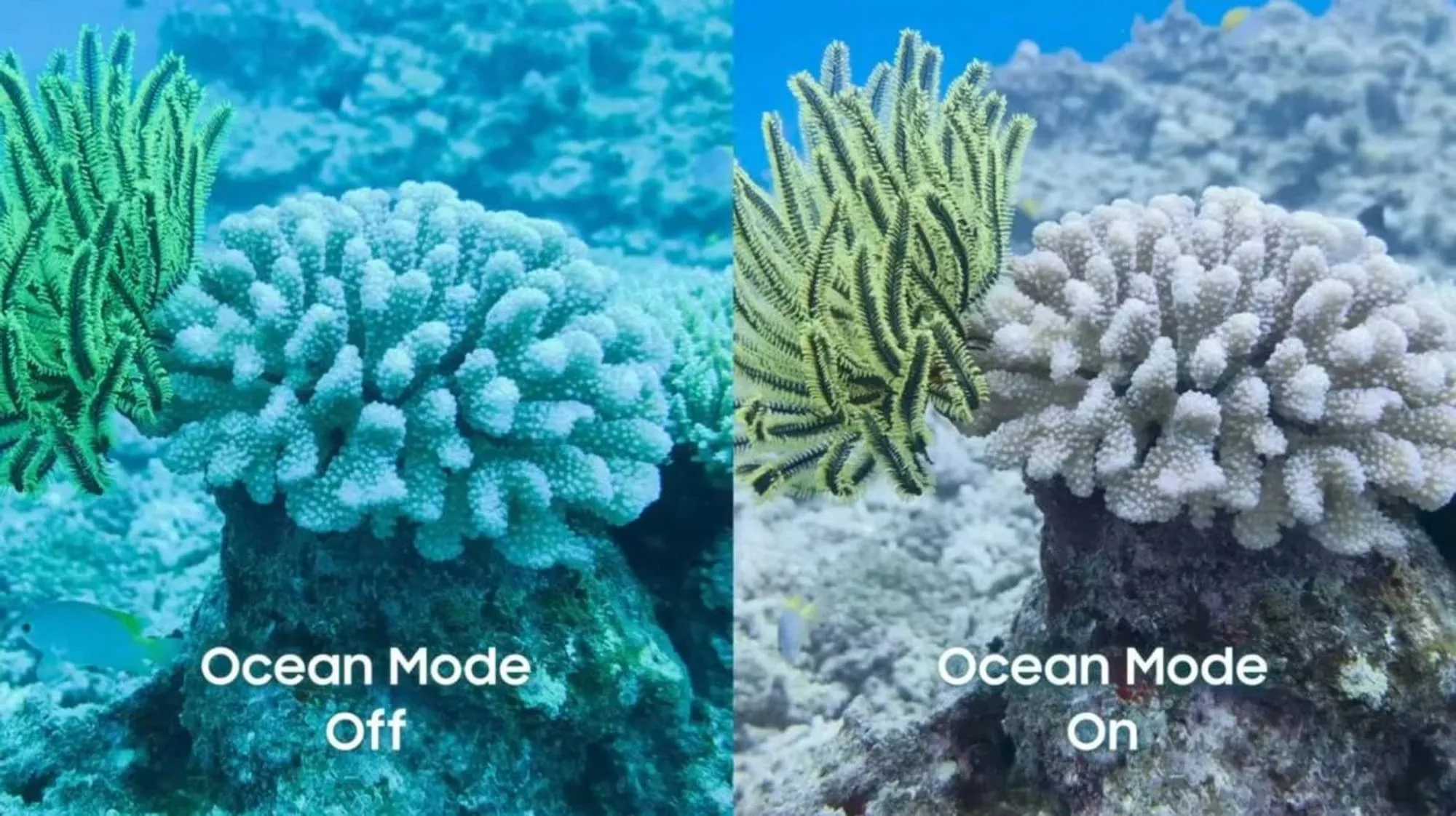 Galaxy S26 Ocean Mode