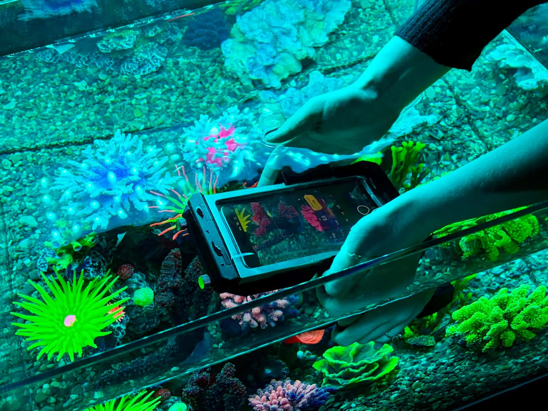 особенности Ocean Mode